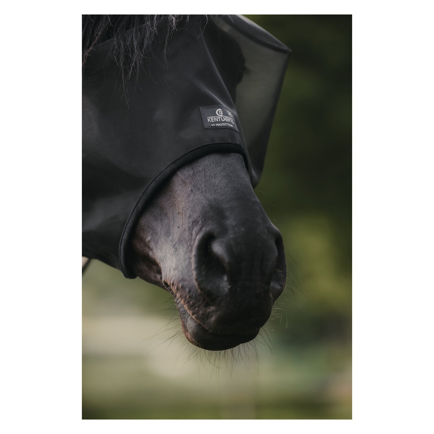 KENTUCKY Fliegenmaske Classic ohne Ohren – Ansicht 2