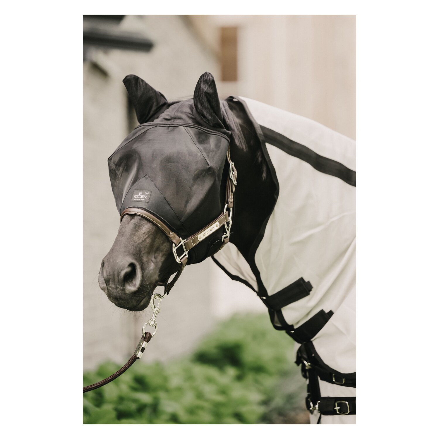 KENTUCKY Fliegenmaske Classic mit Ohren – Ansicht 2