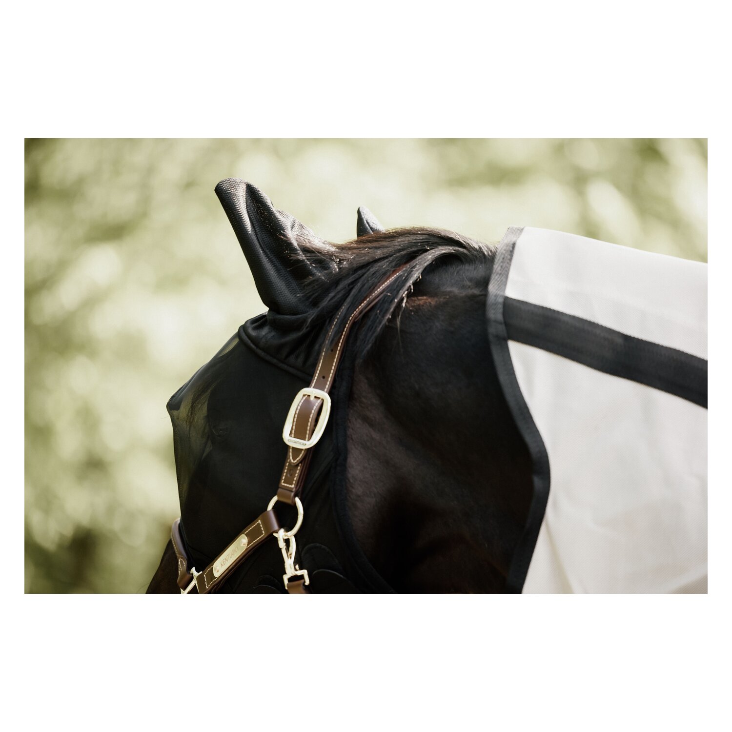 KENTUCKY Fliegenmaske Classic mit Ohren – Ansicht 3