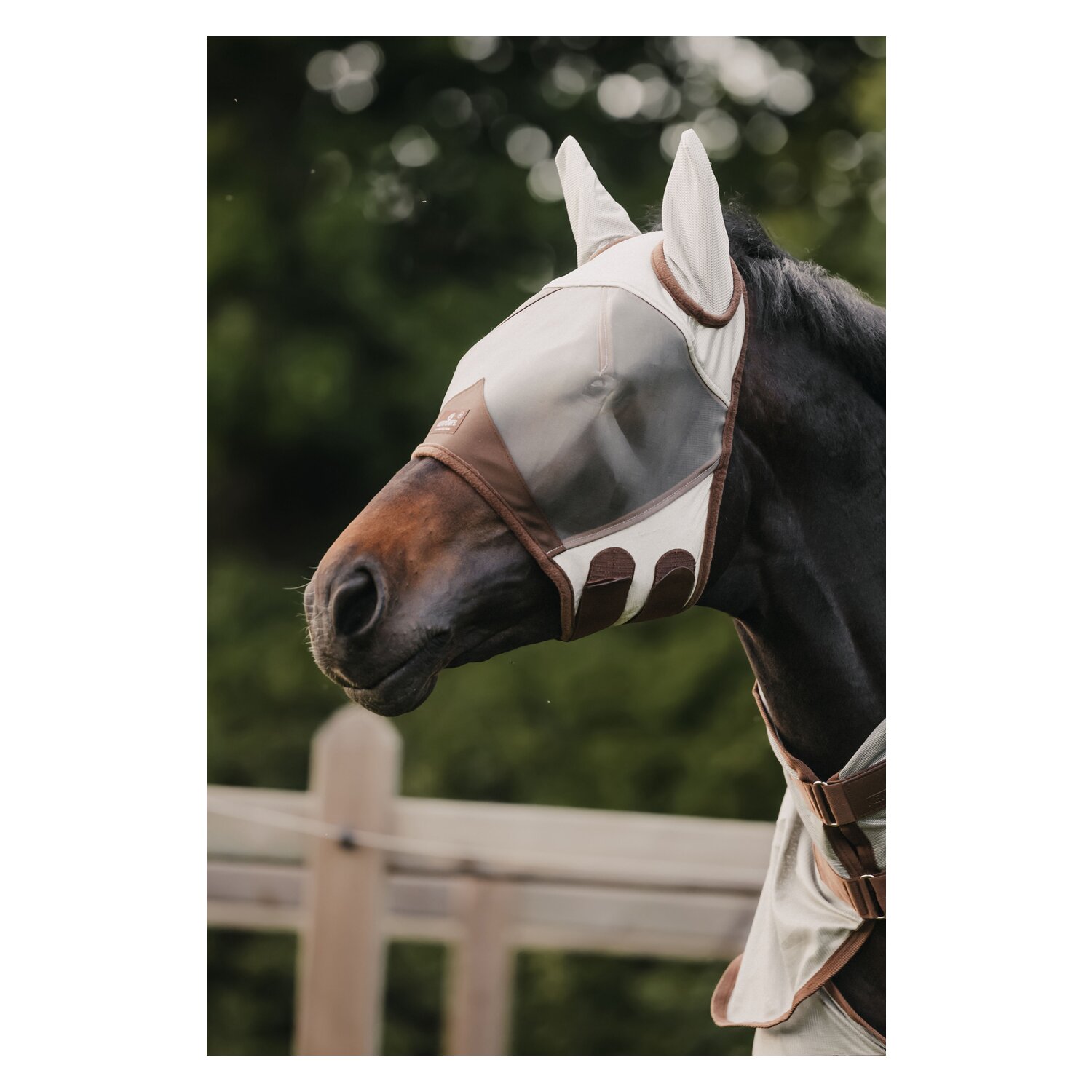 KENTUCKY Fliegenmaske Classic mit Ohren – Ansicht 1