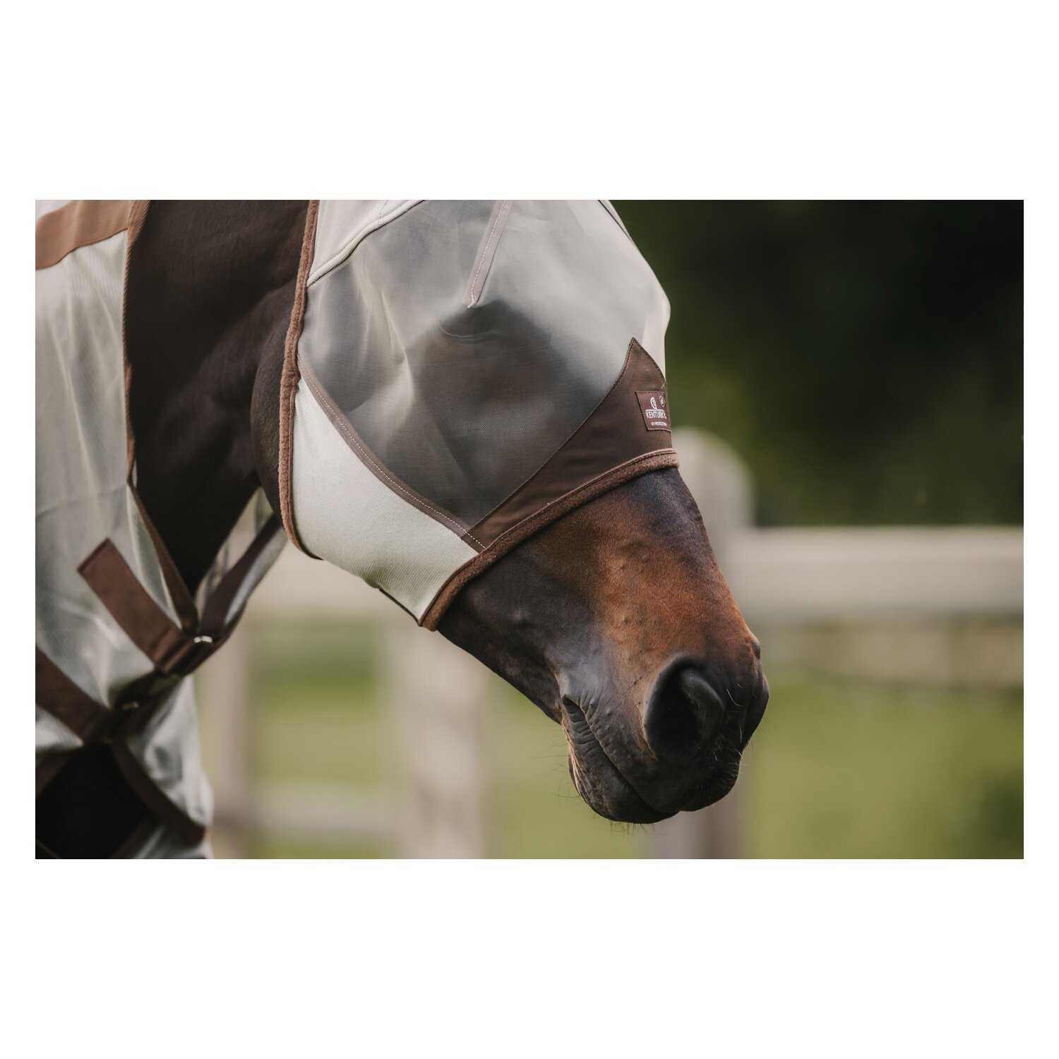 KENTUCKY Fliegenmaske Classic mit Ohren – Ansicht 2