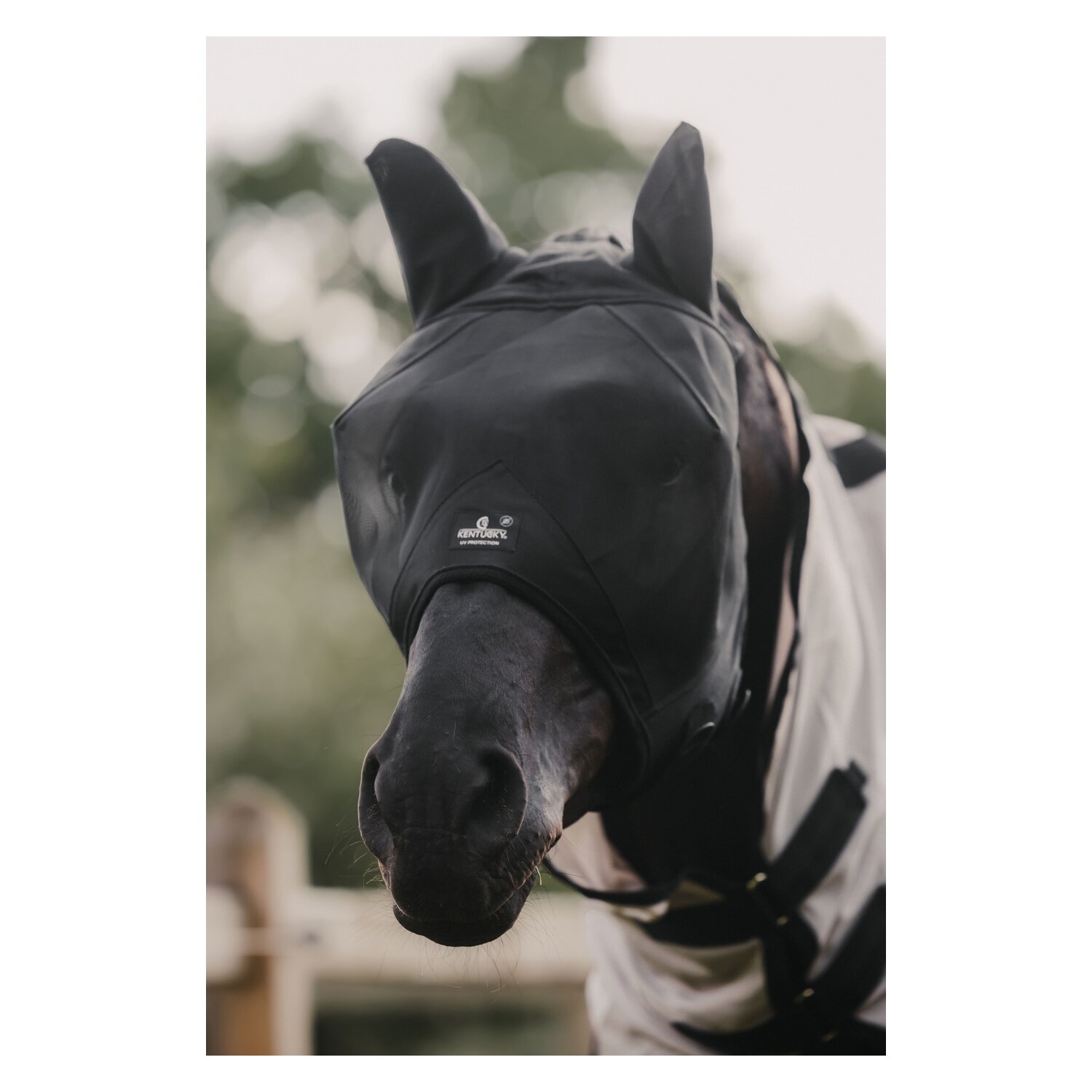 KENTUCKY Fliegenmaske Classic mit Ohren – Ansicht 1