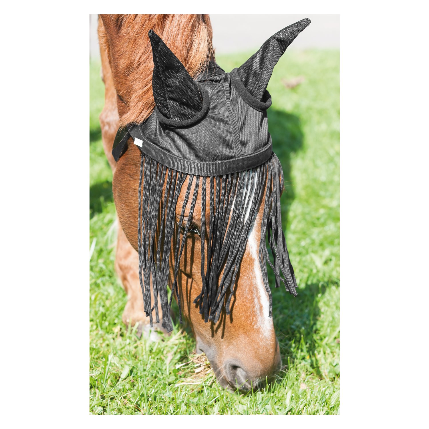 IRISh INNOVATION Fliegenhaube mit Fransenstirnband – Ansicht 2