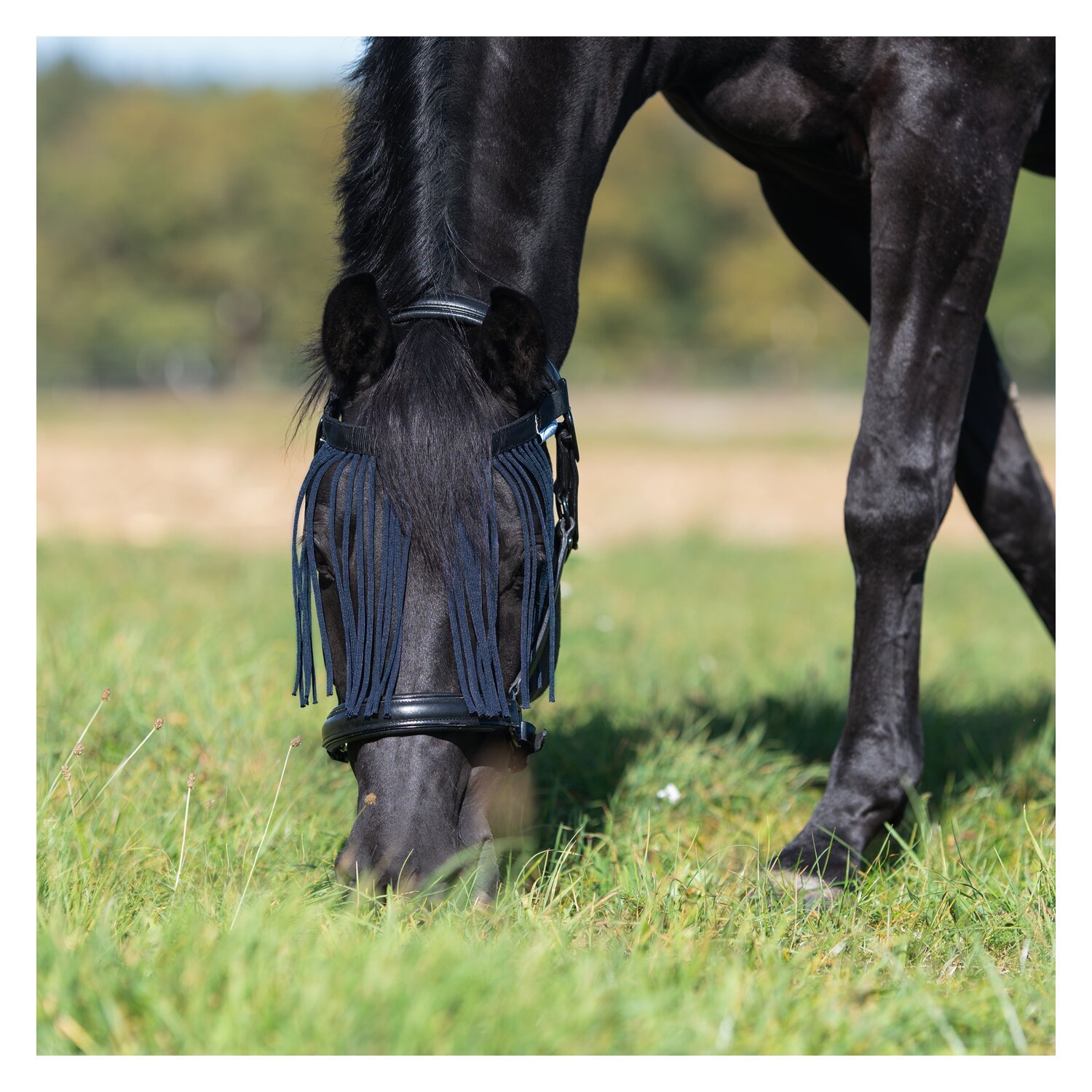 Horse-friends Fliegenstirnband – Ansicht 2