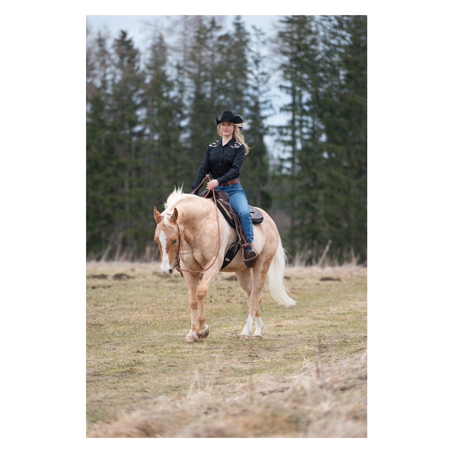 ARIAT Westernhemd Dawn – Ansicht 4