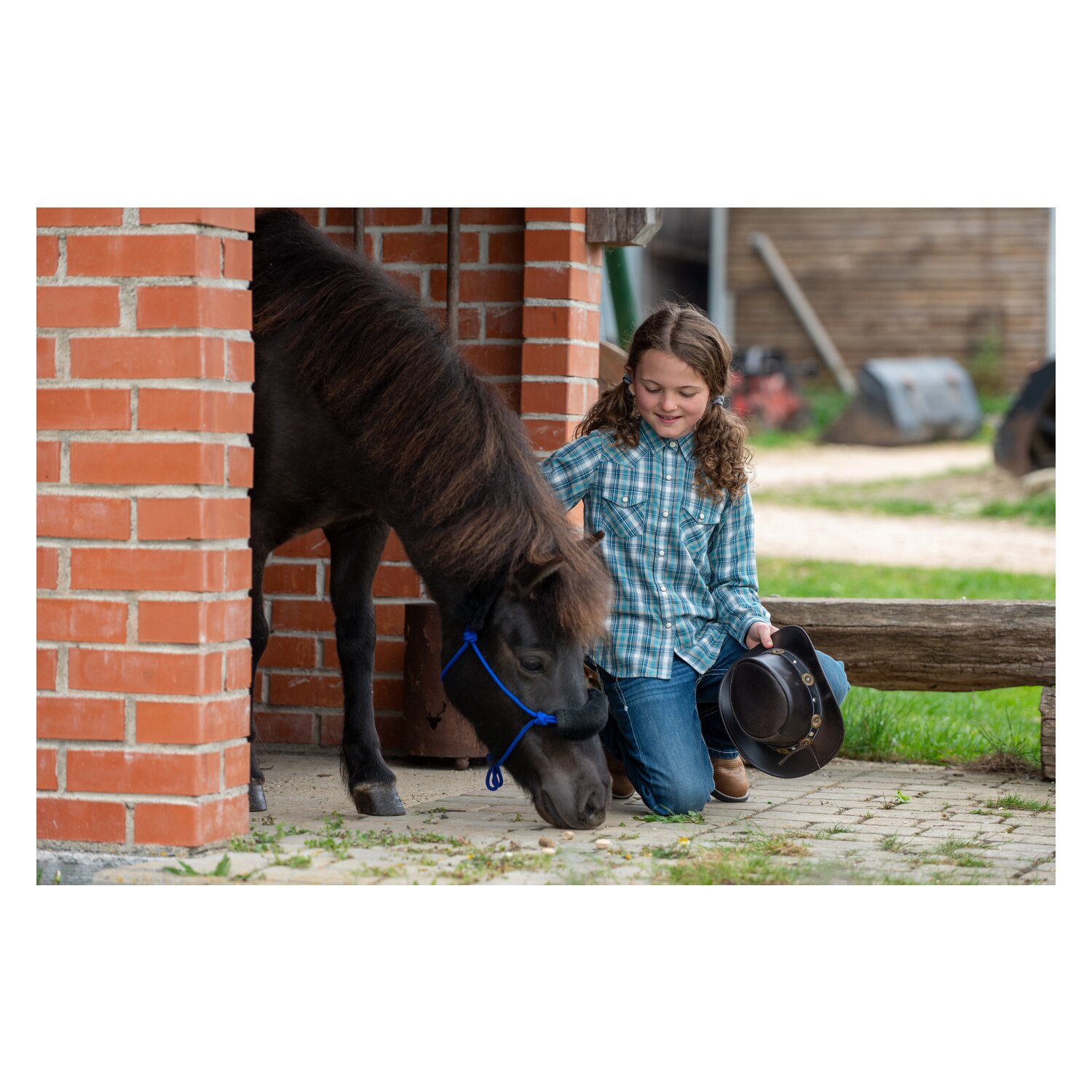 ARIAT Hemd Darla Shirt – Ansicht 4