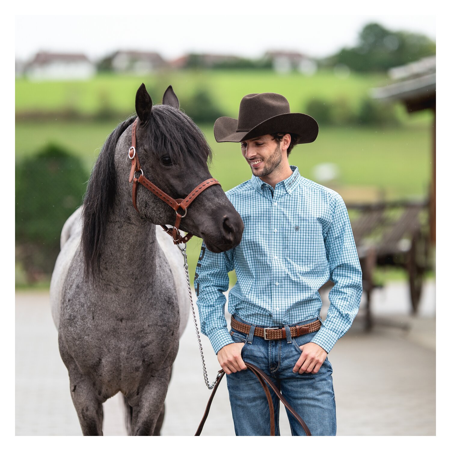 ARIAT Herrenhemd Team Graycen Shirt – Ansicht 5