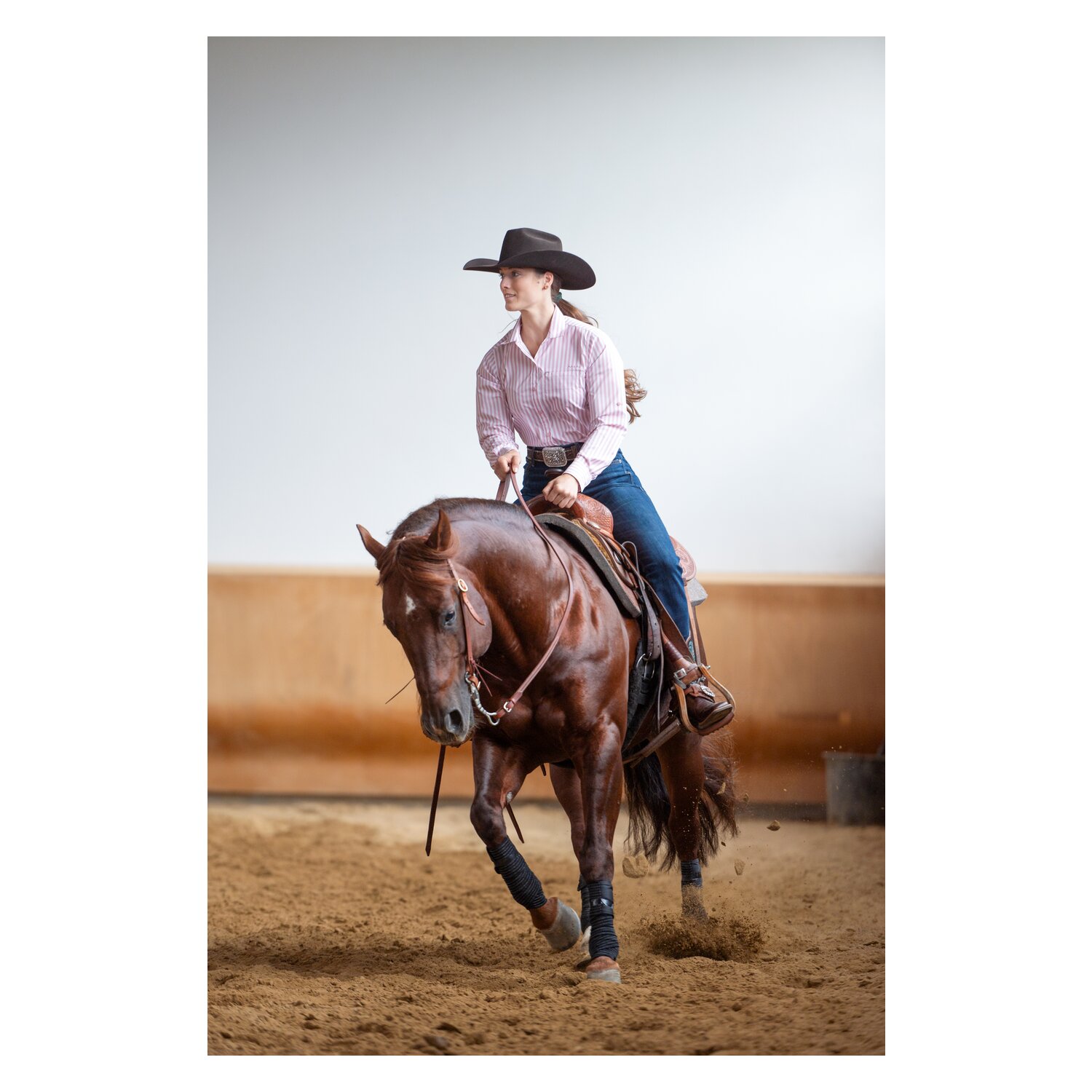 ARIAT Bluse Venttek Stretch Shirt – Ansicht 4