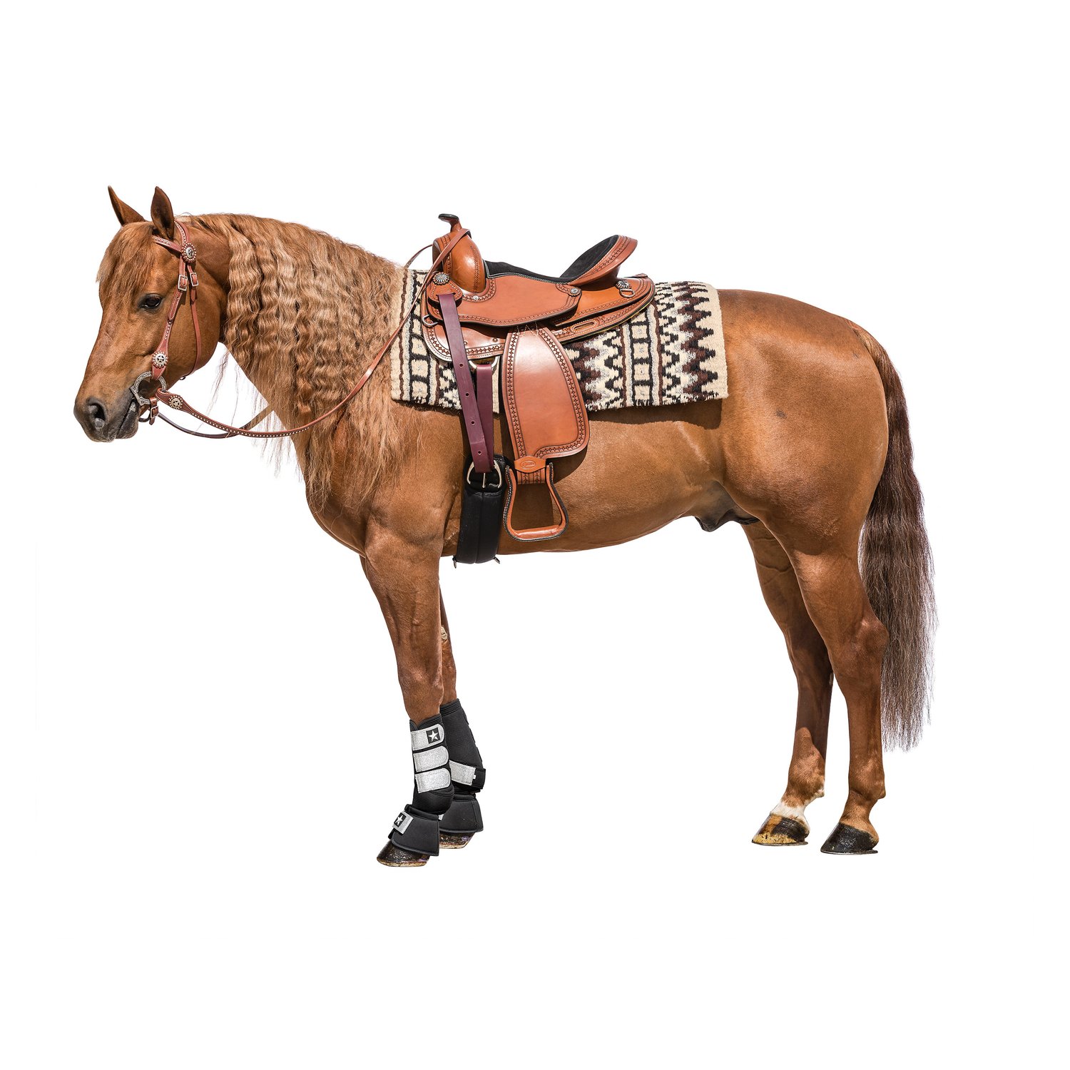 L-pro West Westernblanket Sparkling – Ansicht 2