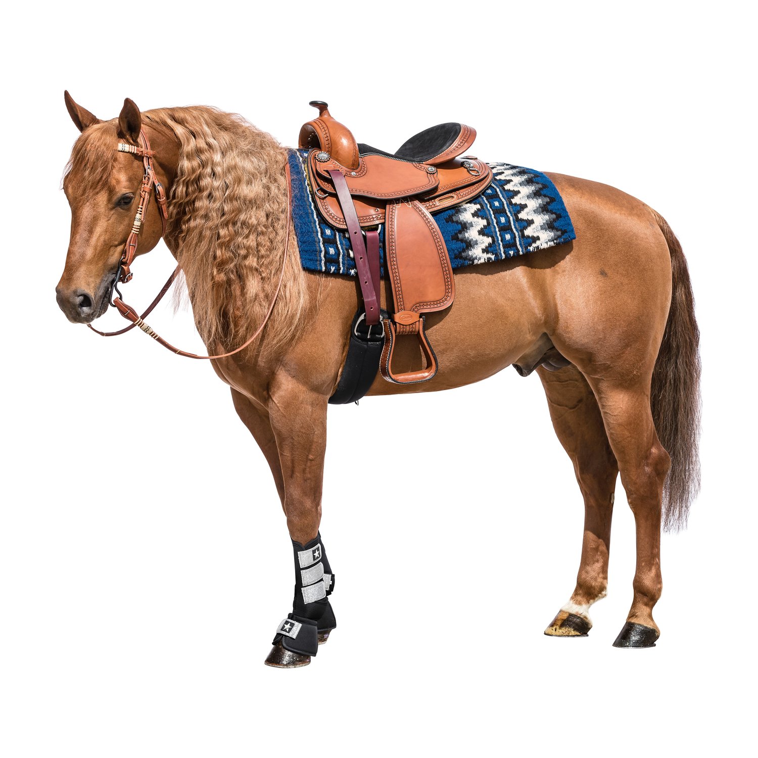 L-pro West Westernblanket Sparkling – Ansicht 2