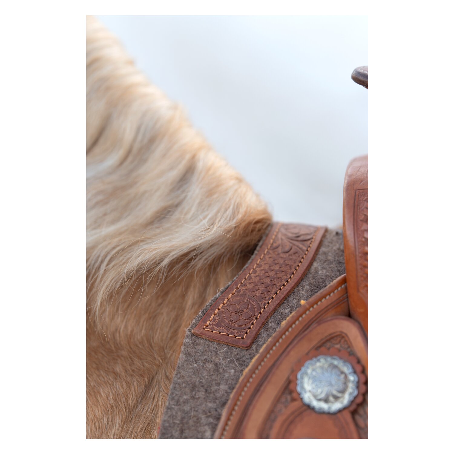 Passion 4Q Filzpad – Ansicht 3