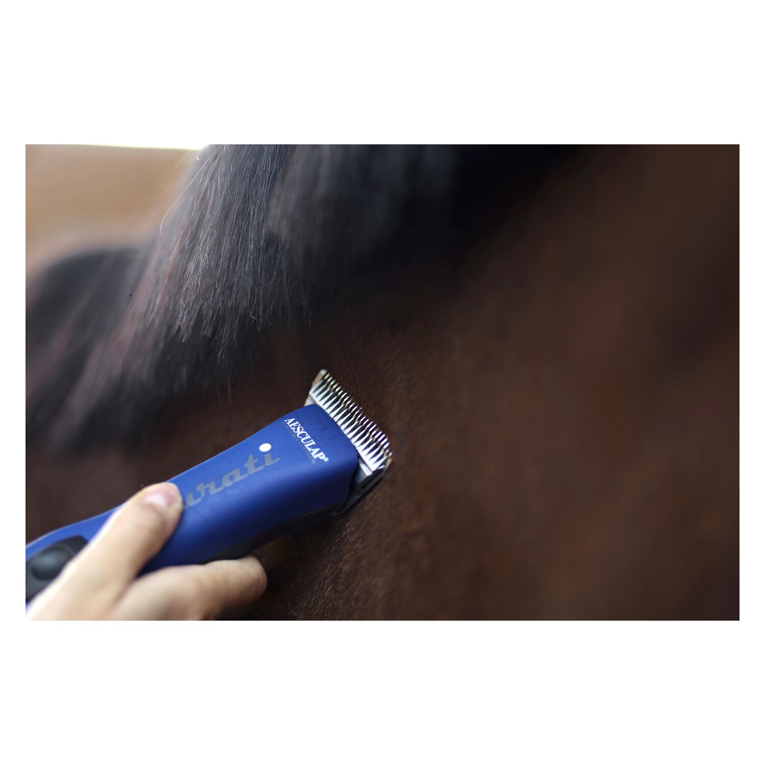 AESCULAP Akku-Schermaschine Durati Horse – Ansicht 8