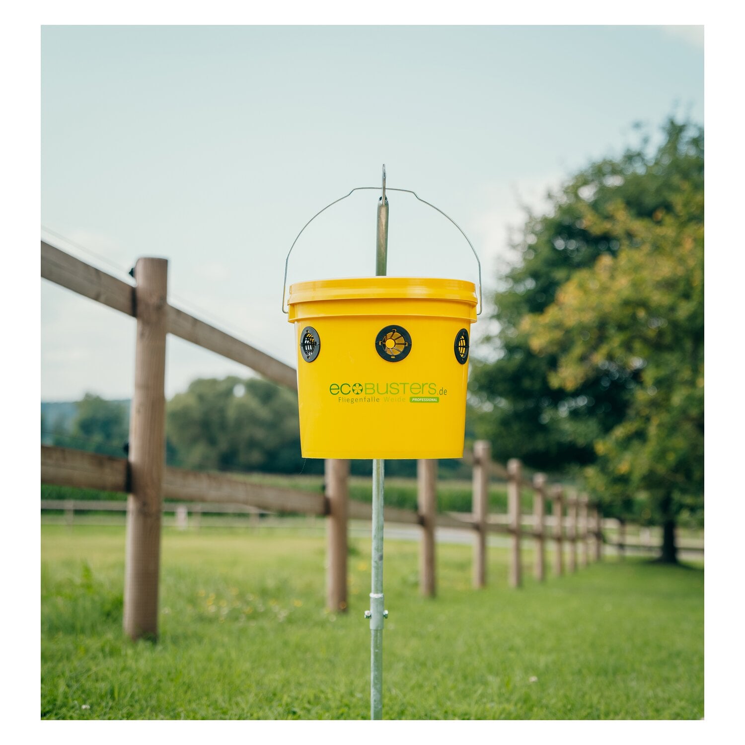 ecoBUSTERS Fliegenfalle Weide Professional + Lockstoff &ndash; Ansicht 4