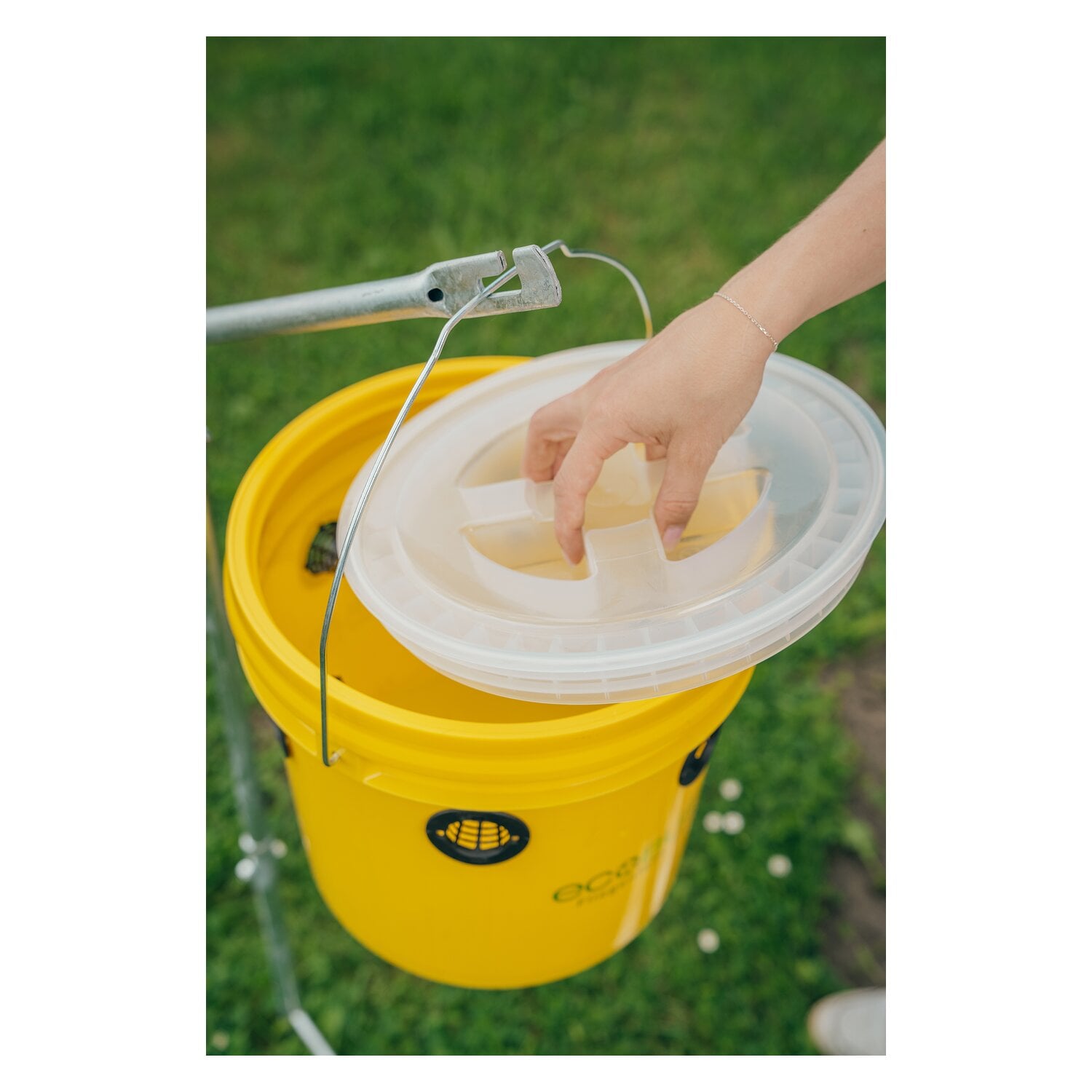 ecoBUSTERS Fliegenfalle Weide Professional + Lockstoff &ndash; Ansicht 6