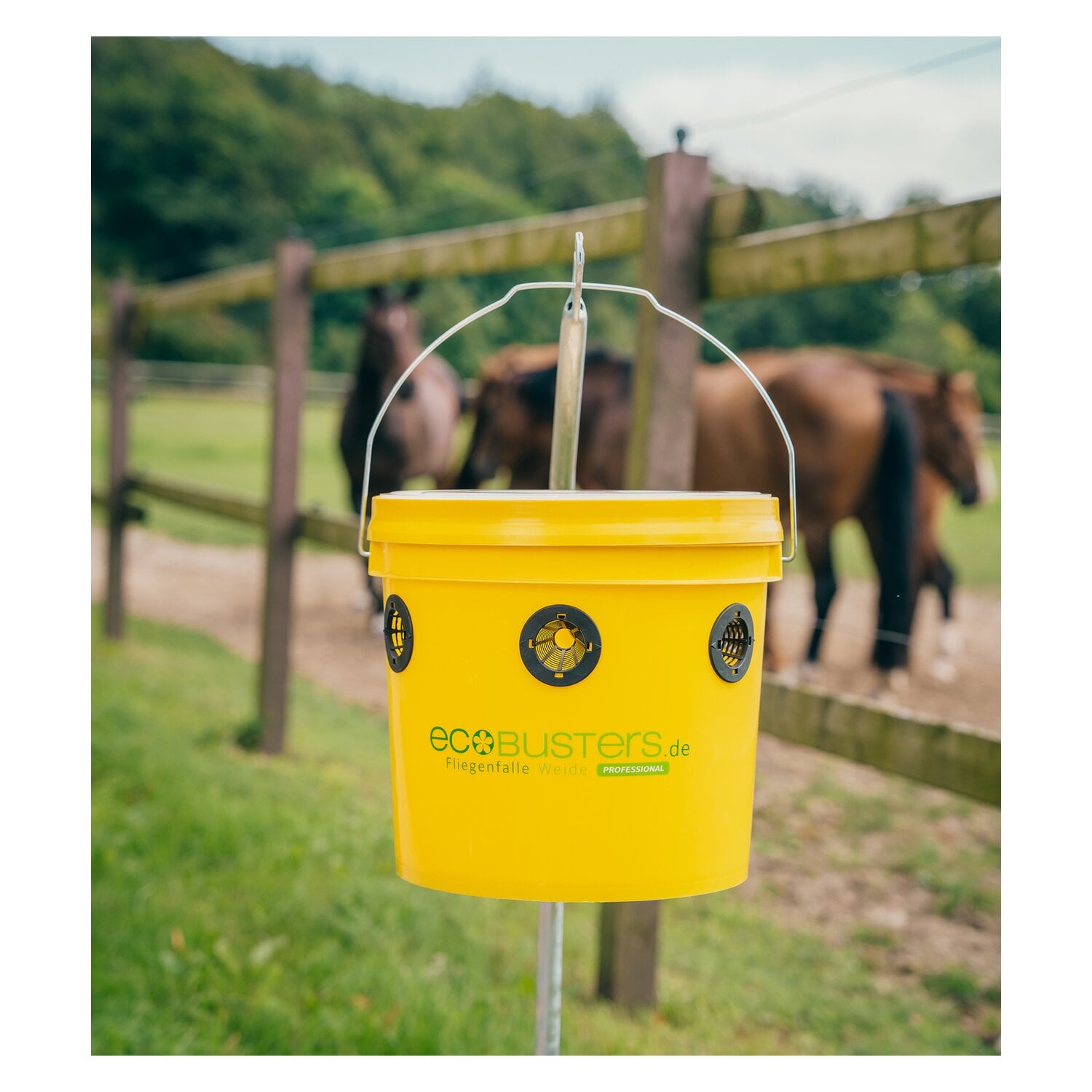ecoBUSTERS Fliegenfalle Weide Professional + Lockstoff &ndash; Ansicht 8