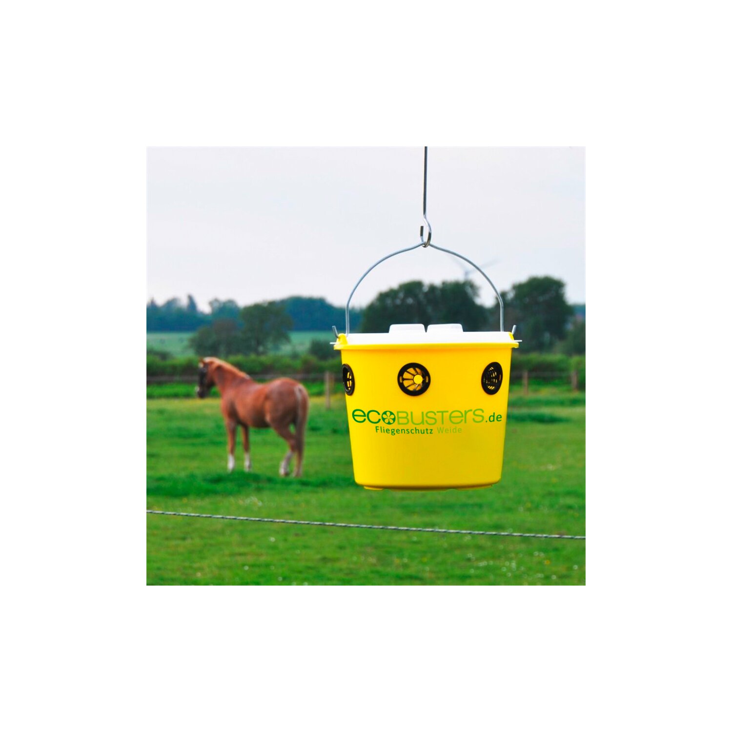 ecoBUSTERS Fliegenfalle Weide Professional + Lockstoff – Ansicht 2