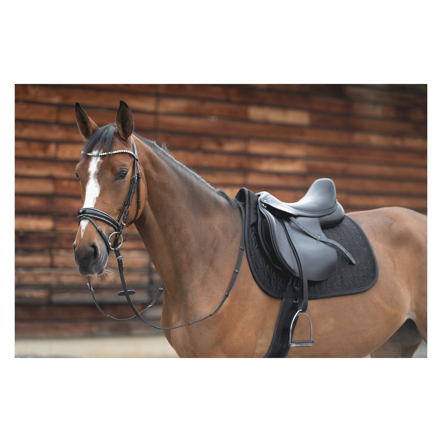 Cheval de Luxe Schabracke Lille – Ansicht 3