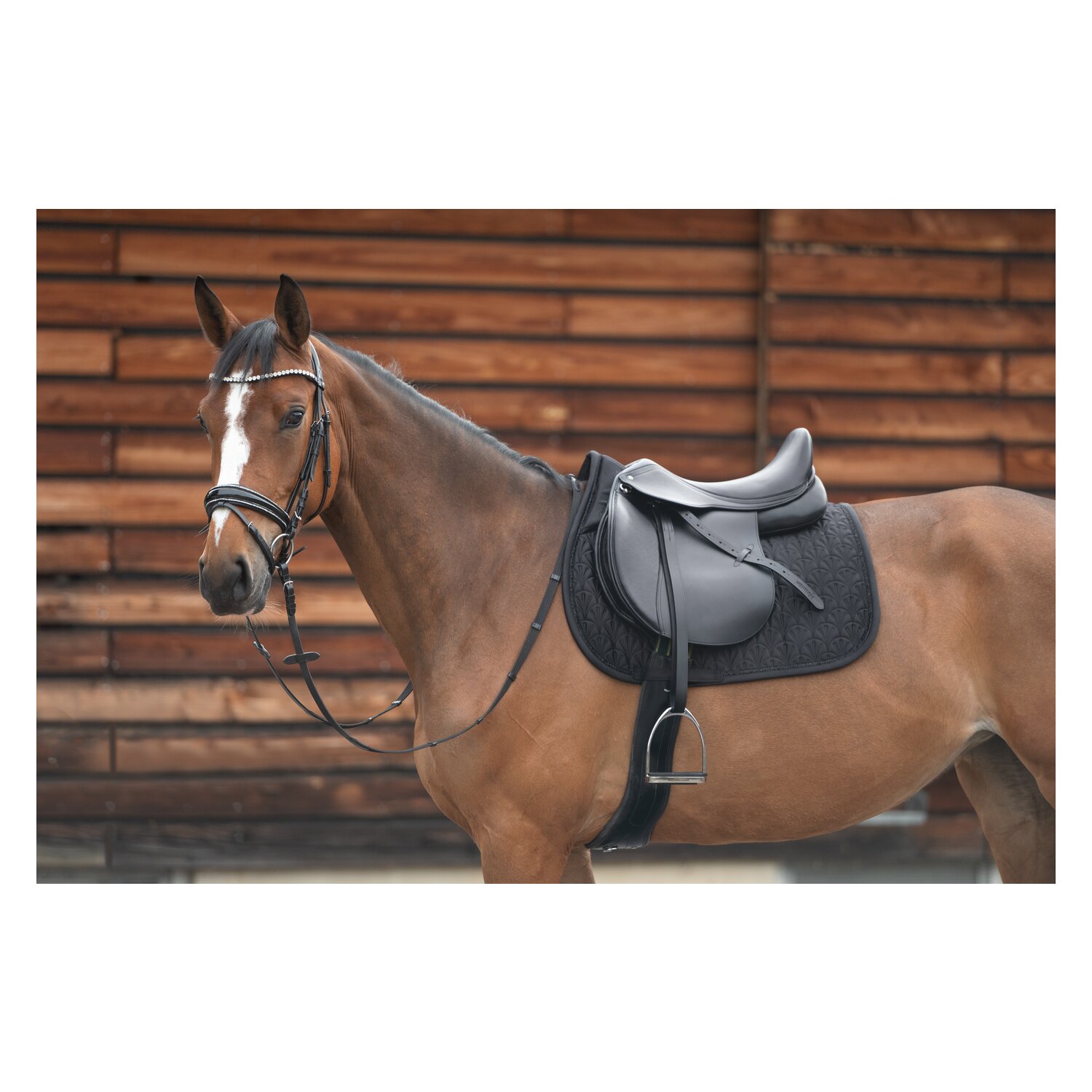 Cheval de Luxe Schabracke Lille – Ansicht 2