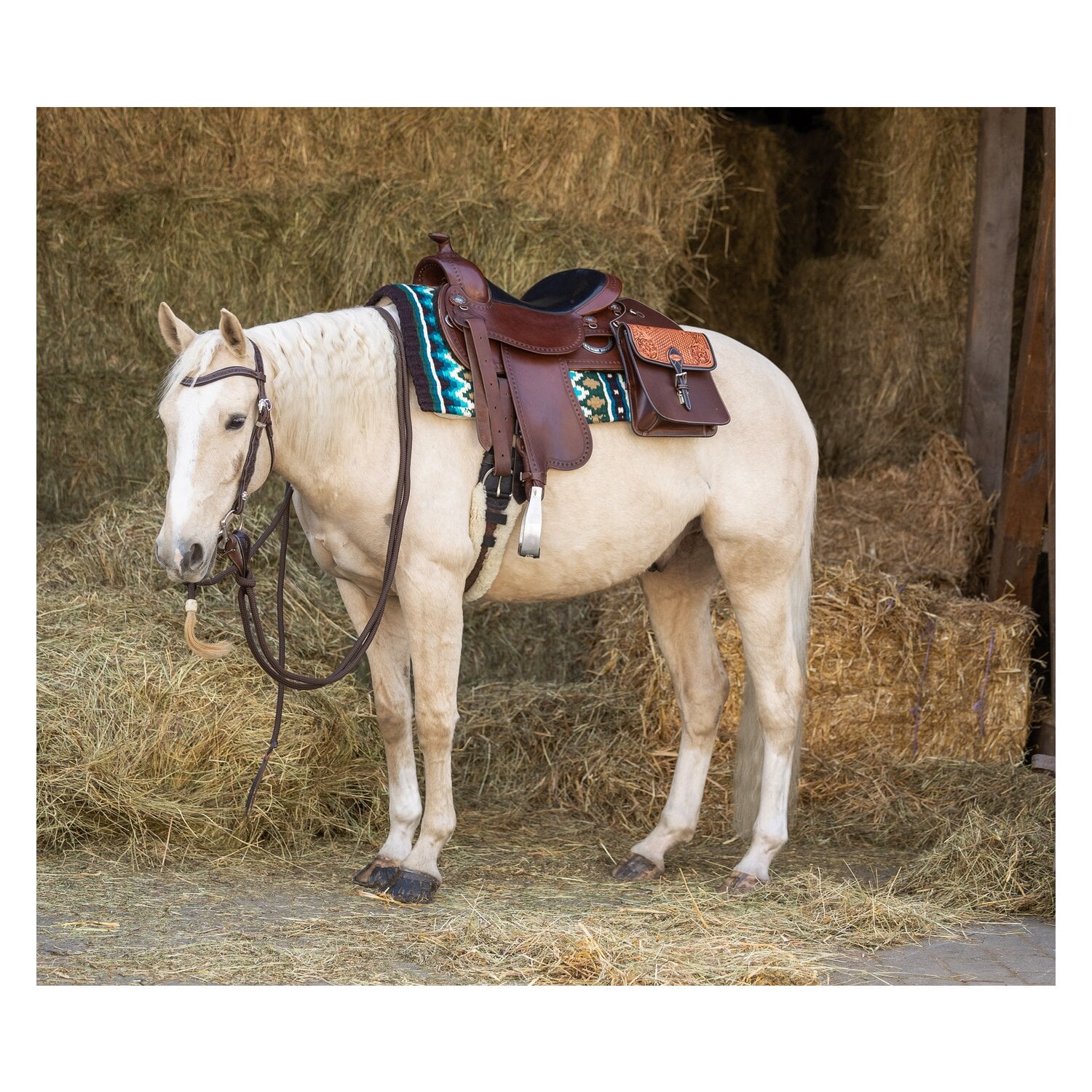 L-pro West Western Doppel-Sattelpacktasche &ndash; Ansicht 4