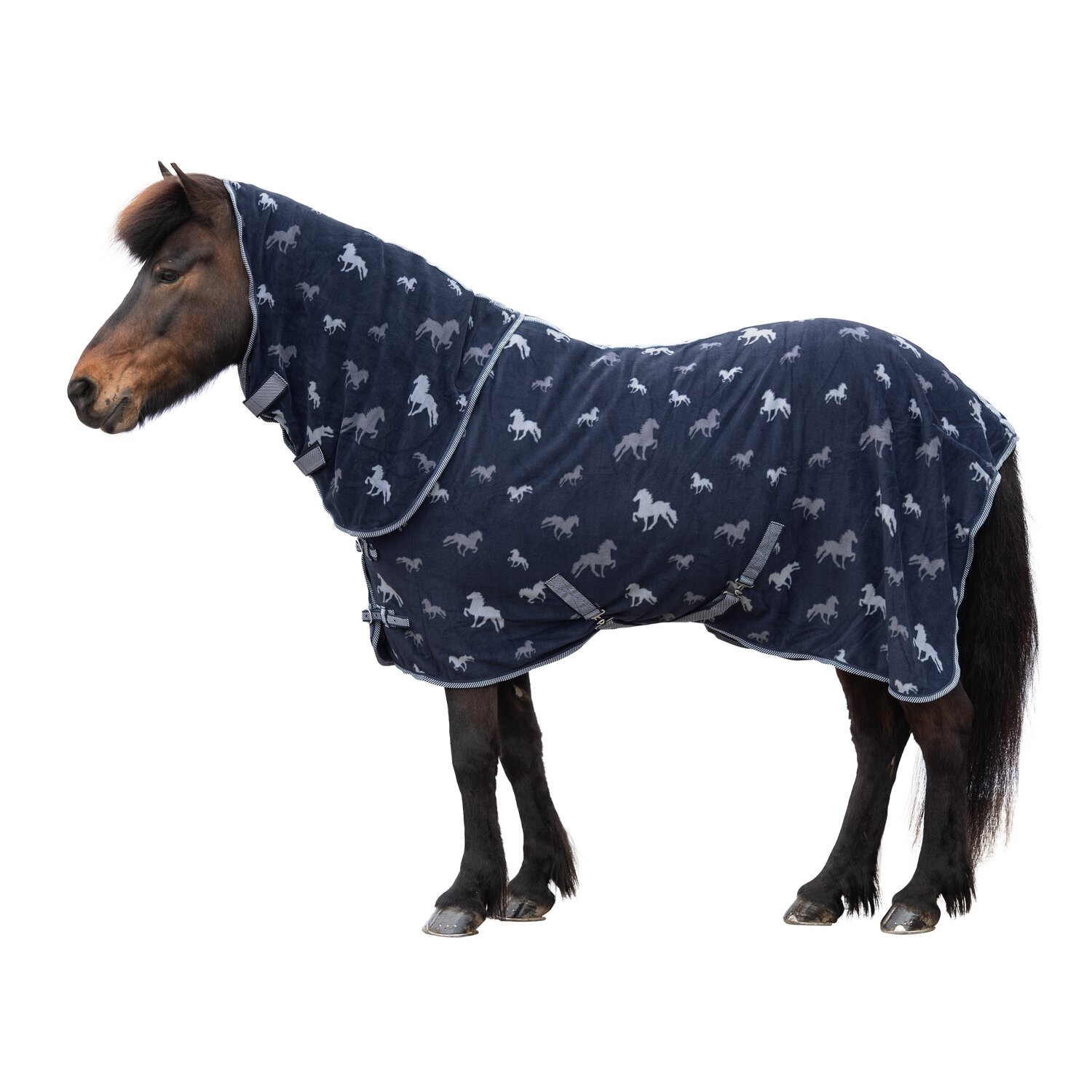 Loesdau Abschwitzdecke Parla &ndash; Ansicht 1