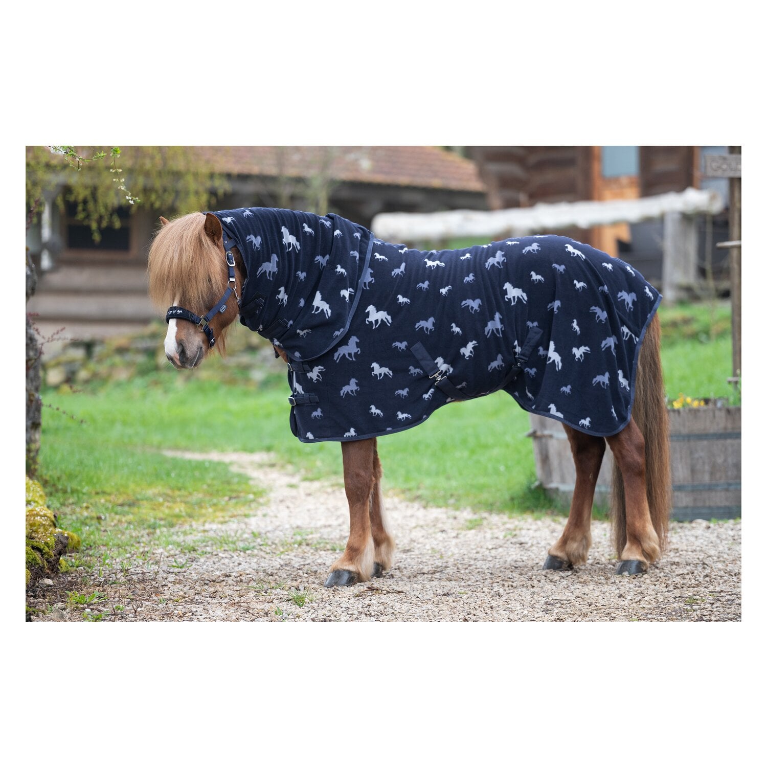 Horse-friends Island-Abschwitzdecke mit Halsteil &ndash; Ansicht 3