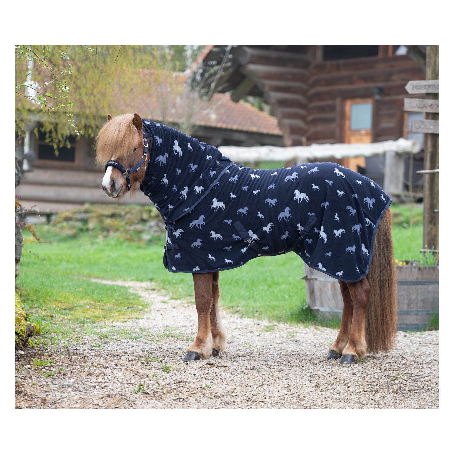 Horse-friends Island-Abschwitzdecke mit Halsteil &ndash; Ansicht 1