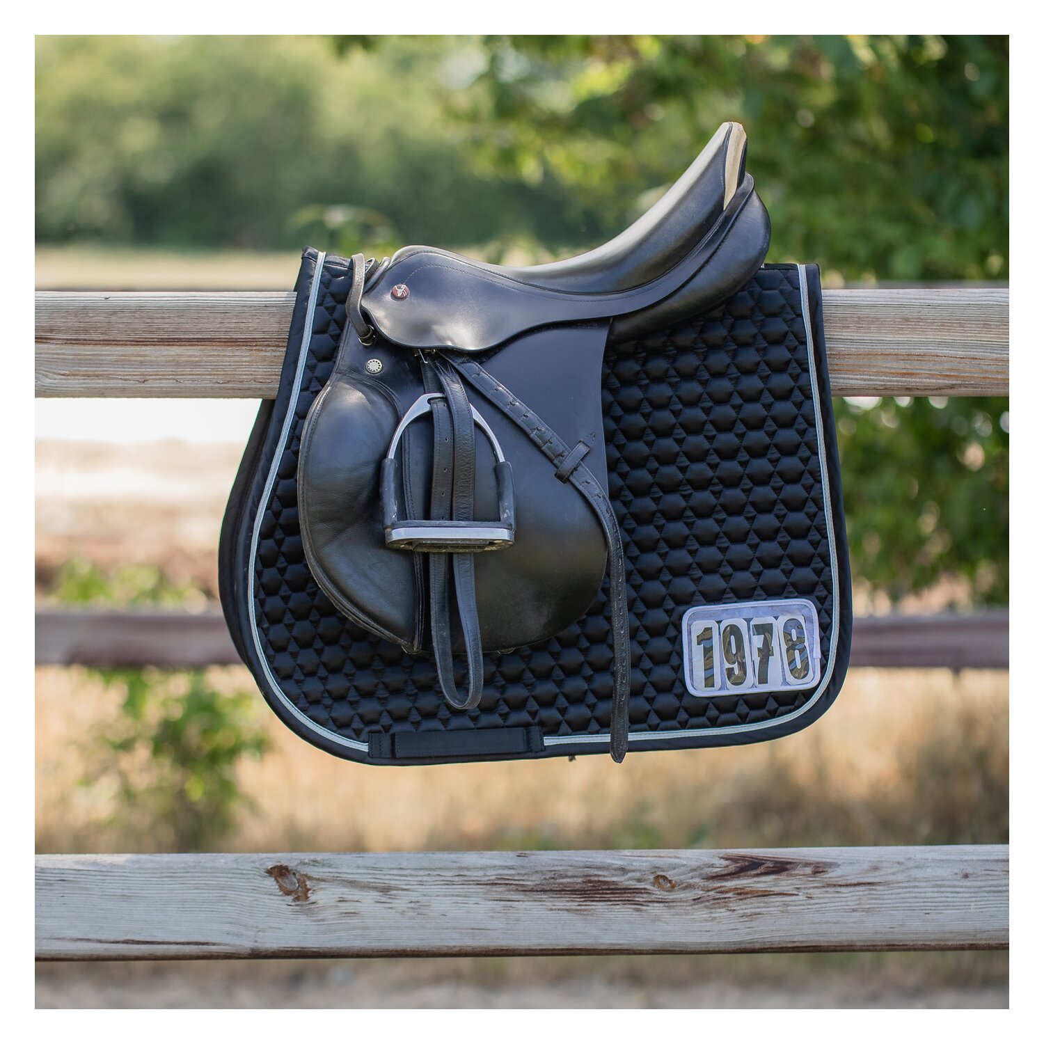 Cavallo Schabracke CAVALJOLLY – Ansicht 7