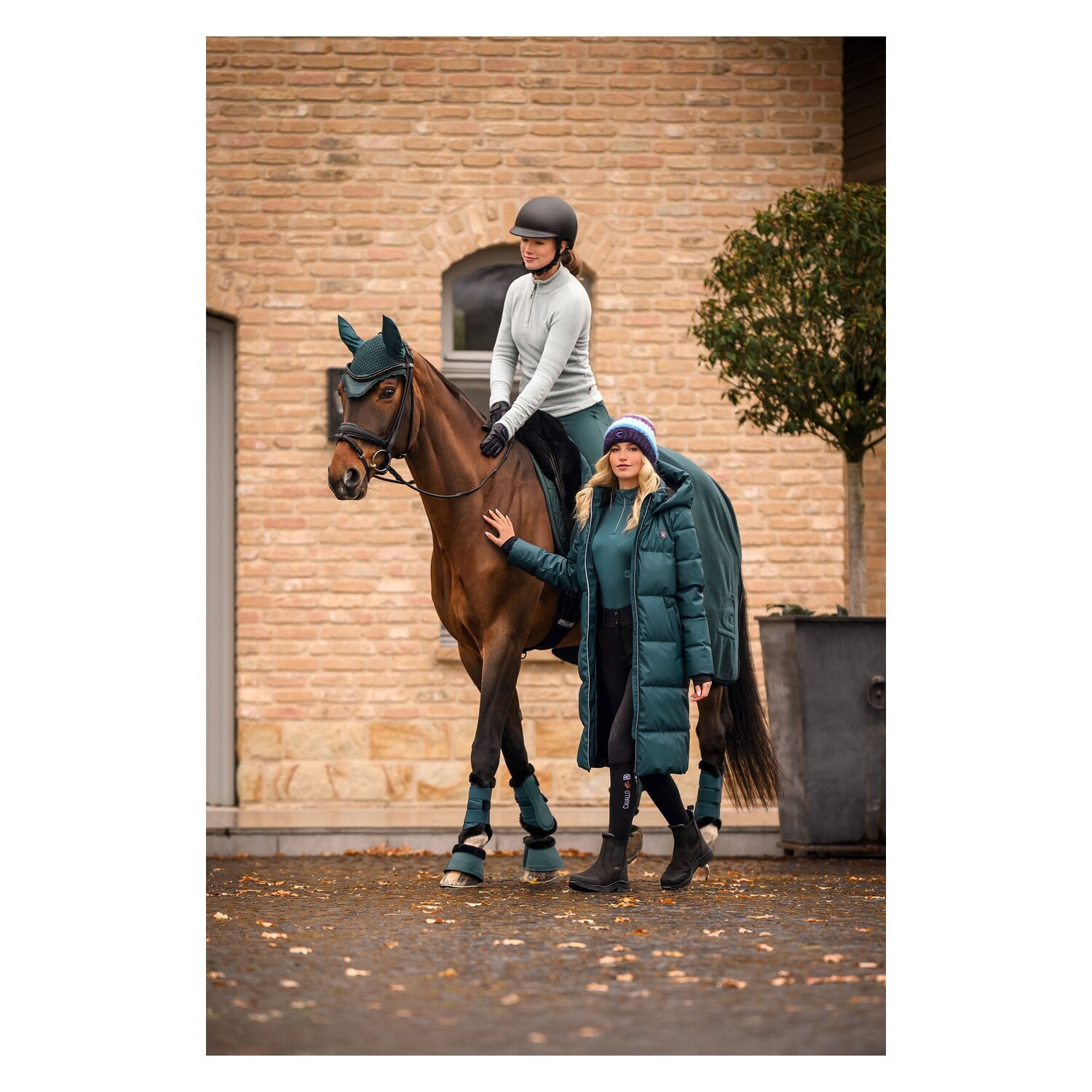 Cavallo Schabracke CAVALHANAYA &ndash; Ansicht 4