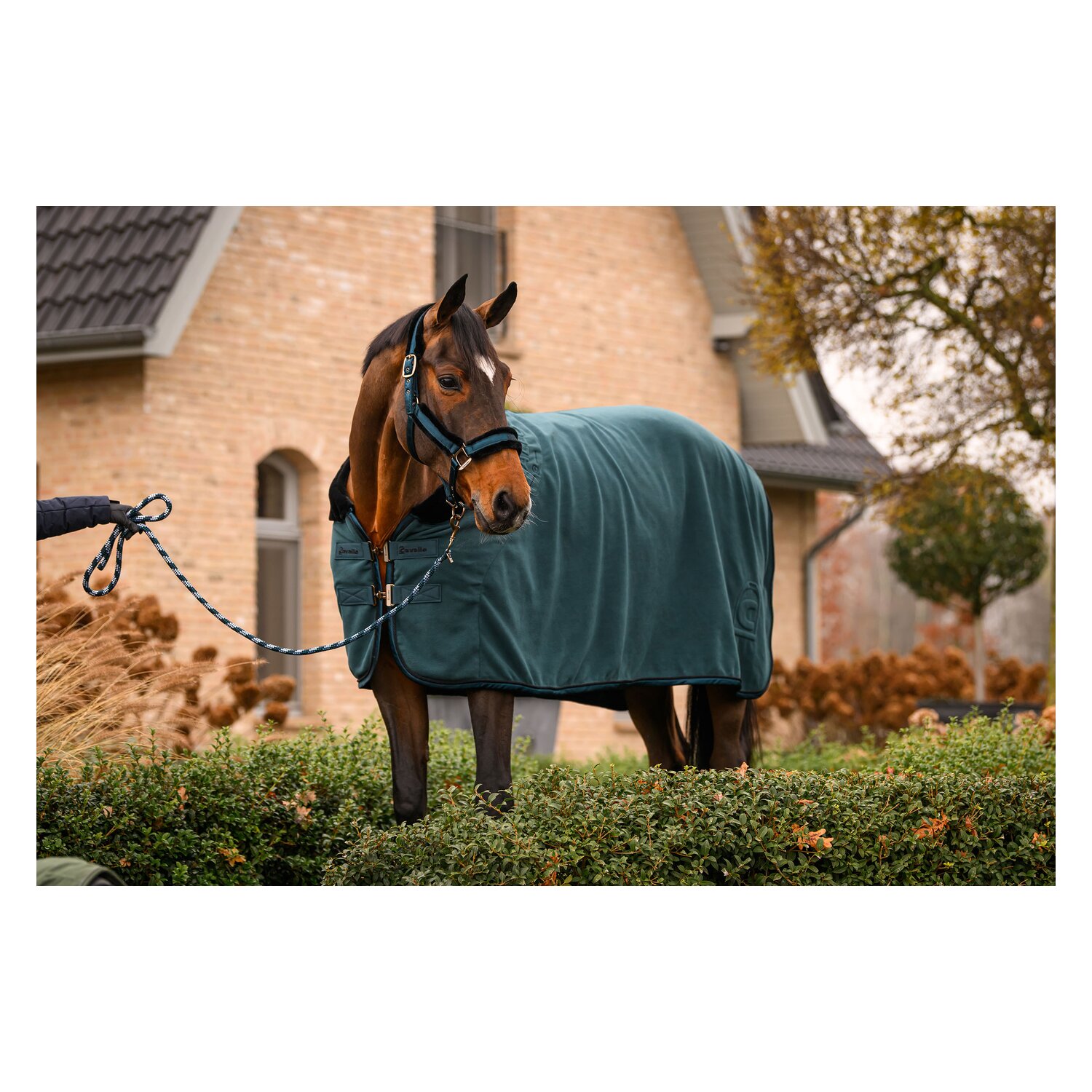 Cavallo Abschwitzdecke CAVALJOSELLE &ndash; Ansicht 3
