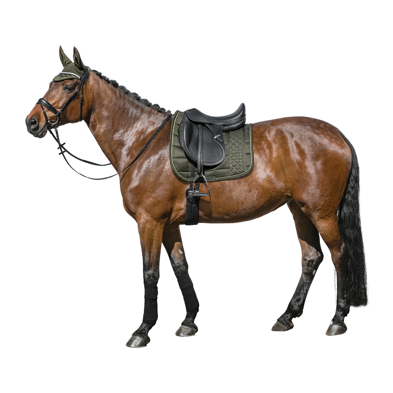 Horse-friends Schabracke Lomé – Ansicht 2