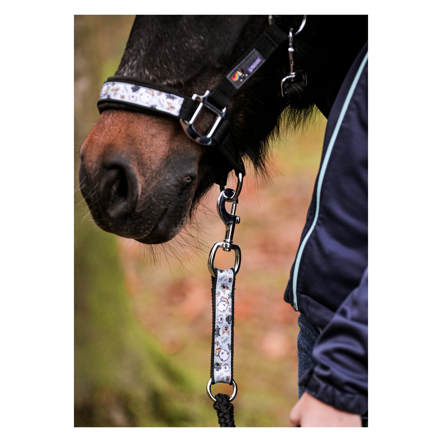 EQUEST Pummel Pets Friends Halfter Uno Plus – Ansicht 3