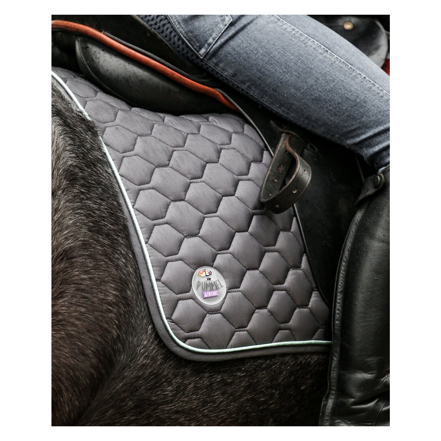 EQUEST Pummel Pets Friends Schabracke Macro Argon – Ansicht 7