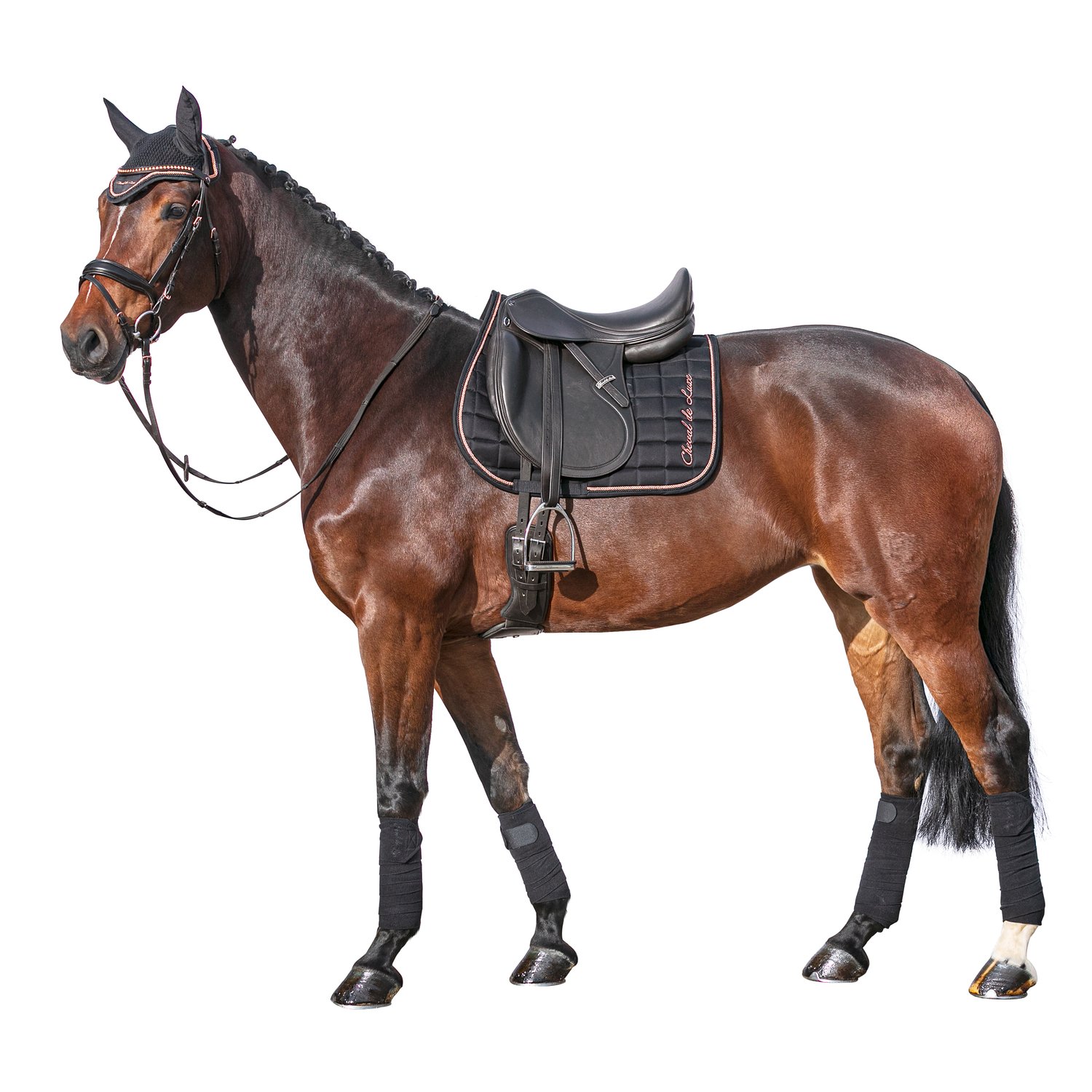 Cheval de Luxe Schabracke – Ansicht 6