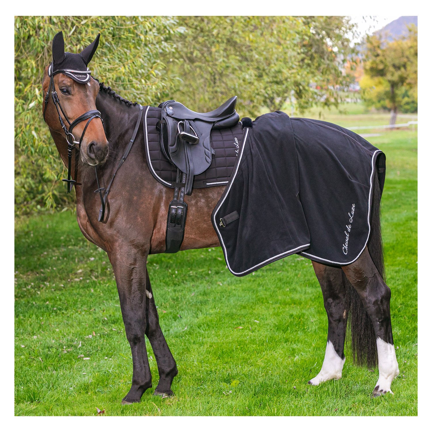 Cheval de Luxe Schabracke – Ansicht 2
