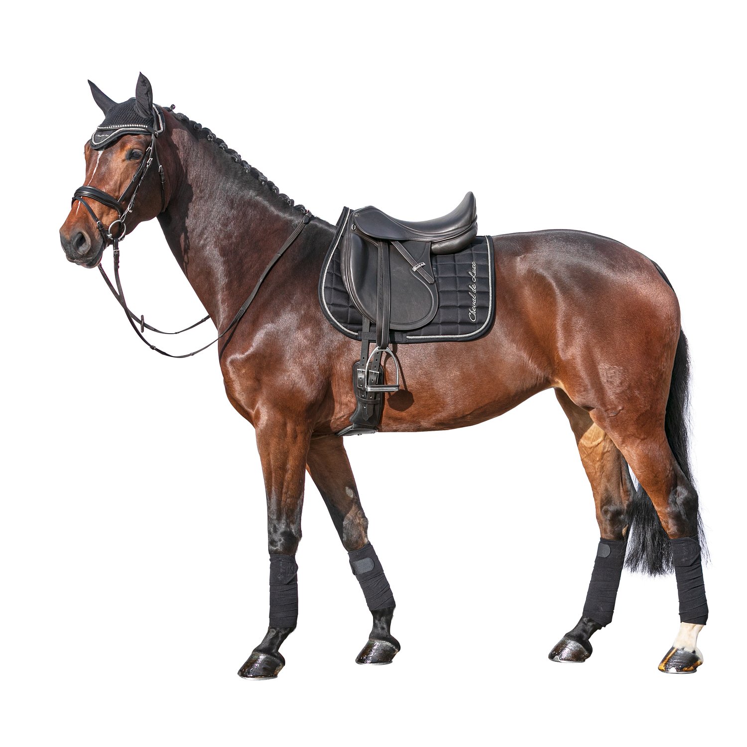 Cheval de Luxe Schabracke – Ansicht 3
