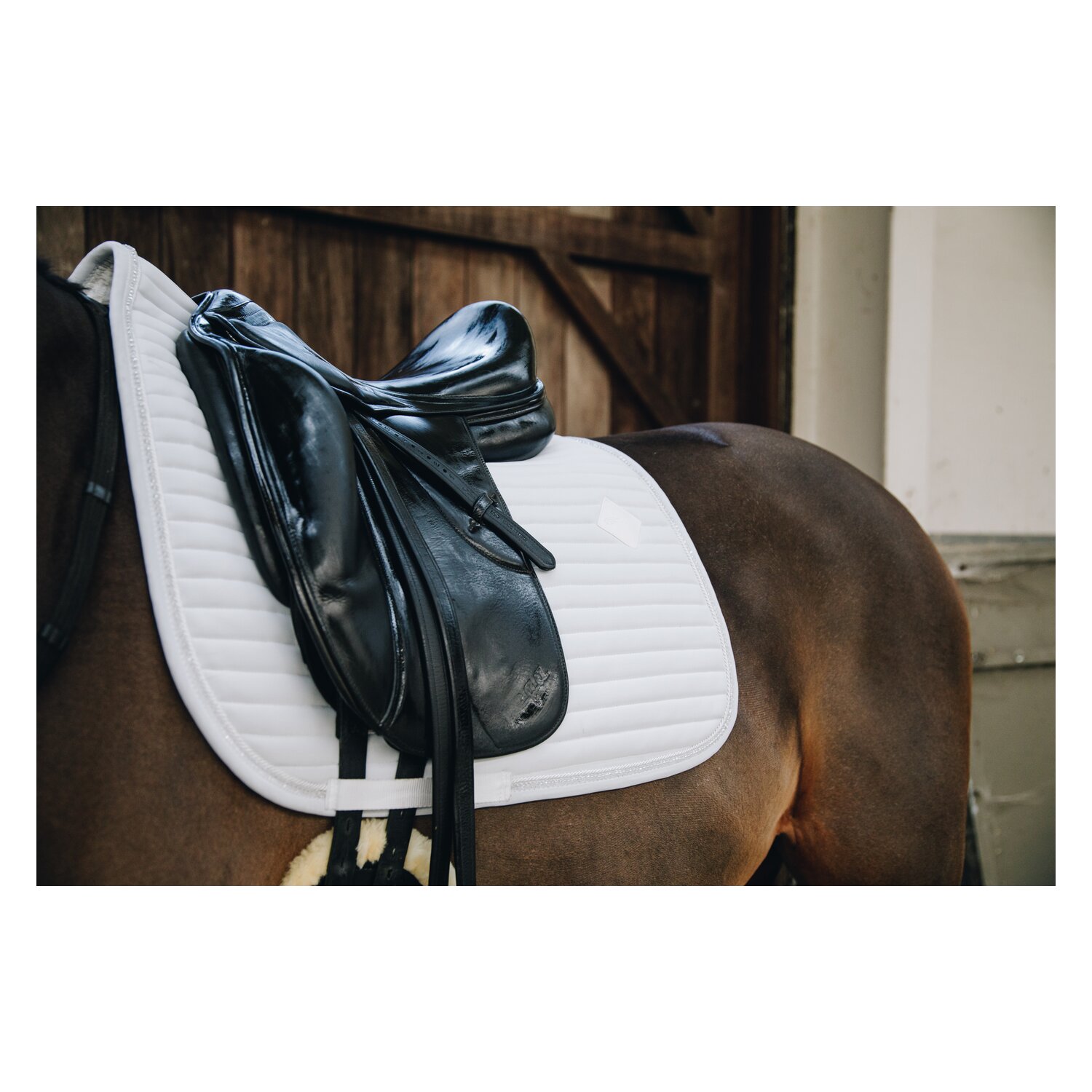 KENTUCKY Schabracke Pearls – Ansicht 2