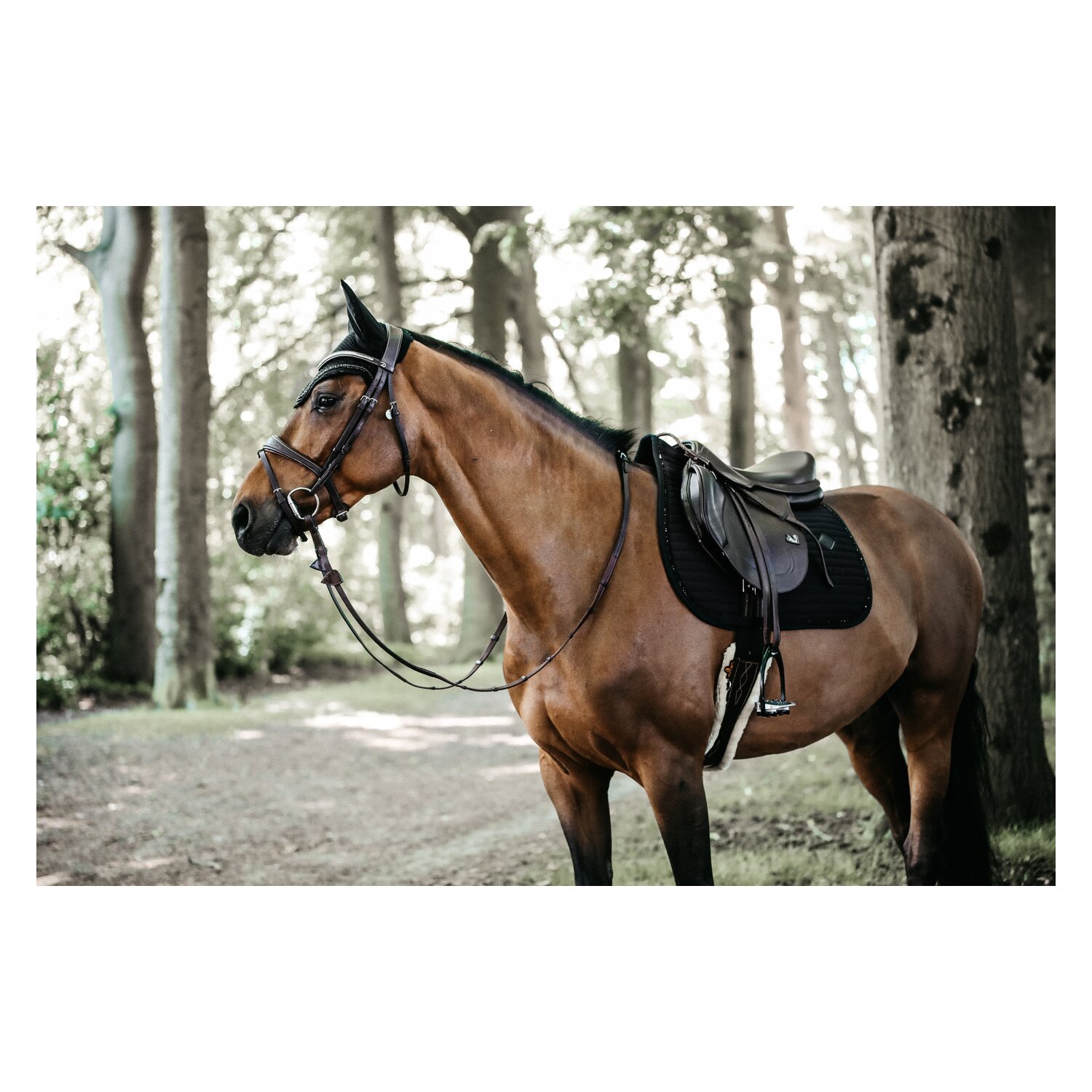 KENTUCKY Schabracke Pearls – Ansicht 4