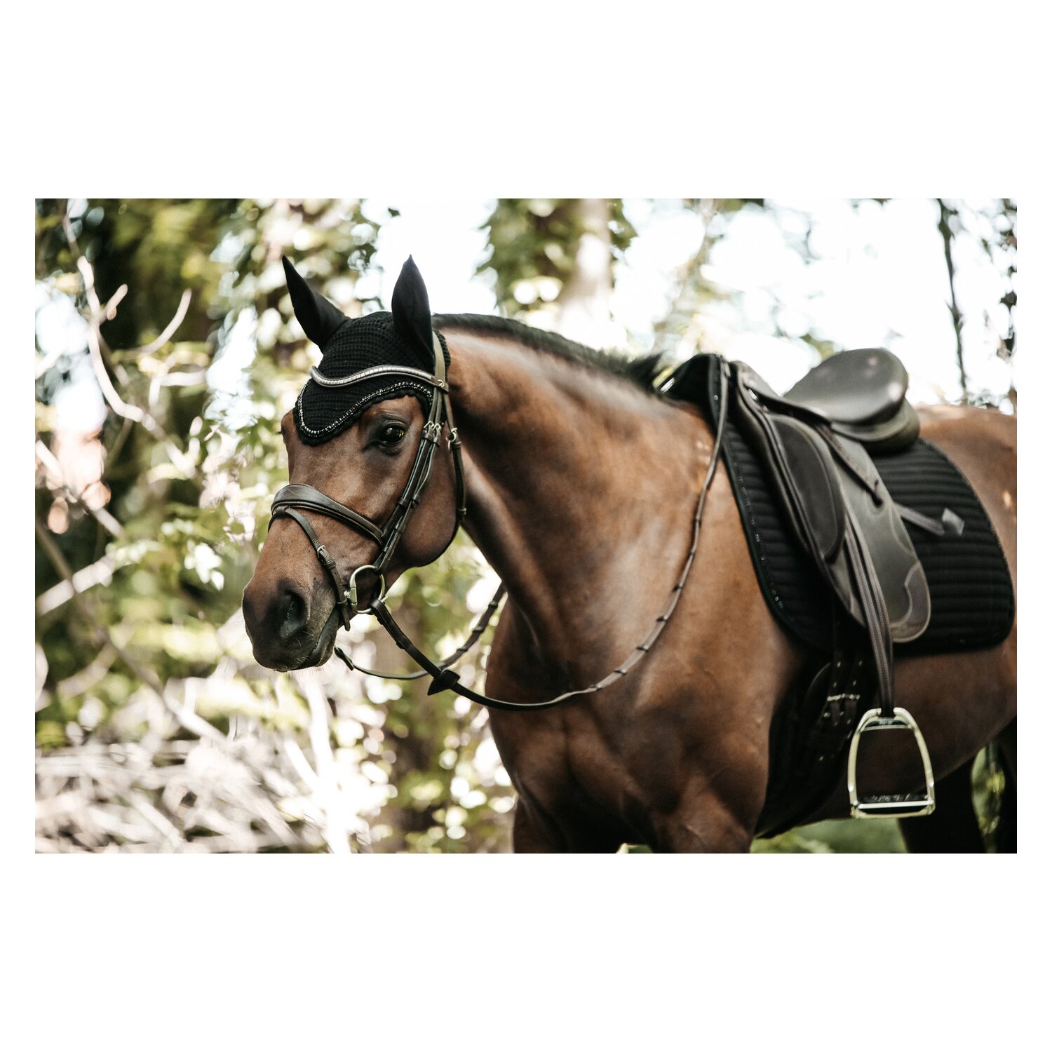 KENTUCKY Schabracke Pearls – Ansicht 3