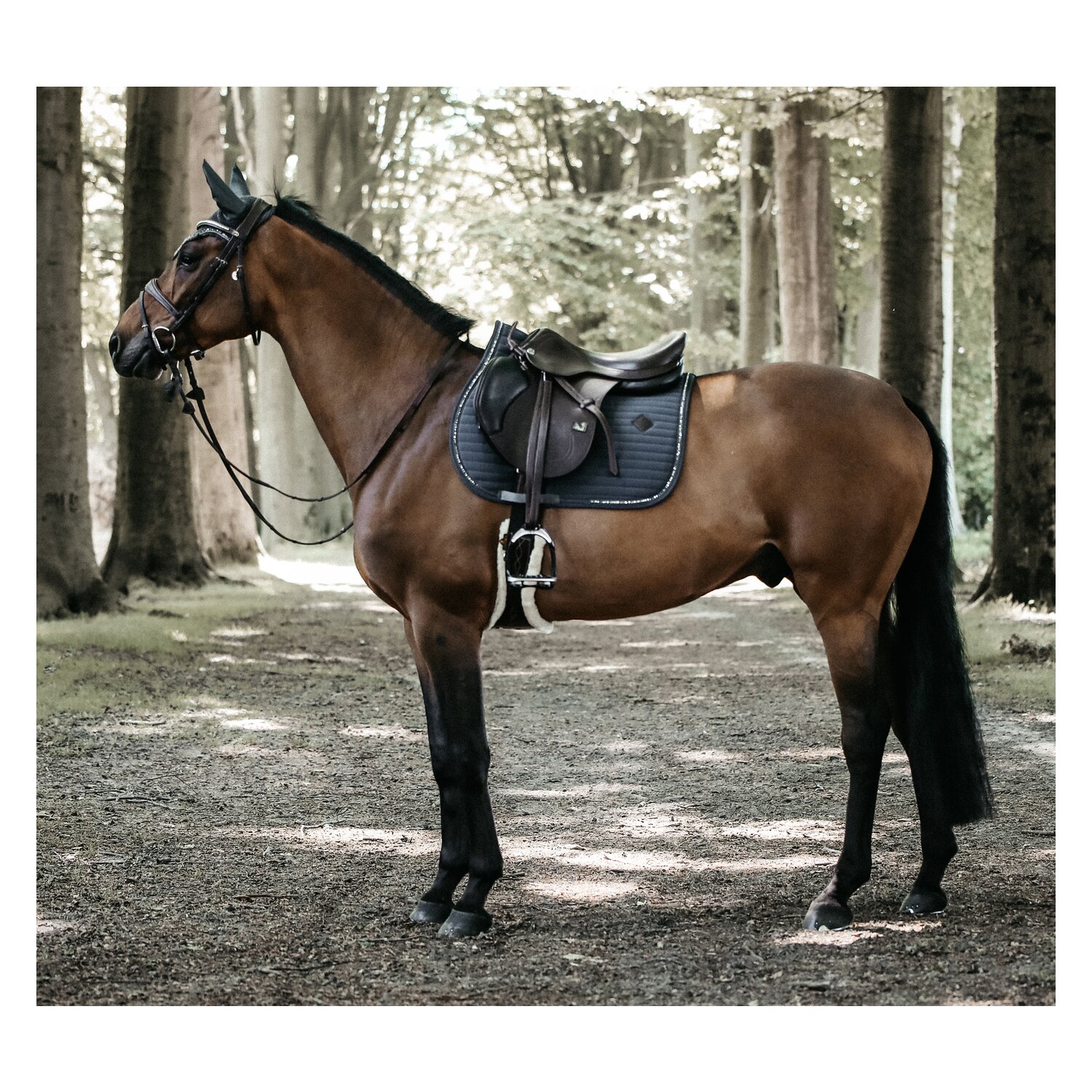 KENTUCKY Schabracke Pearls – Ansicht 3