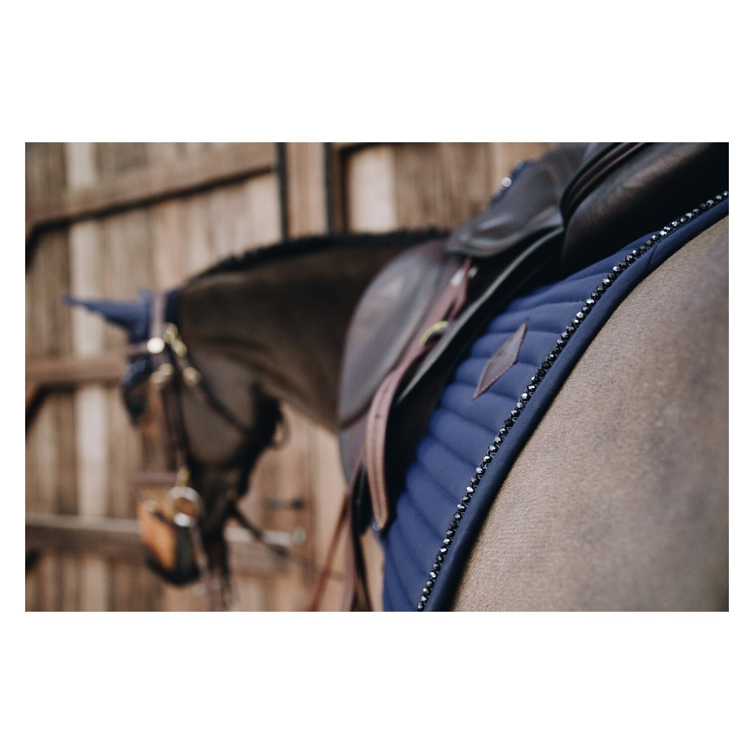 KENTUCKY Schabracke Pearls – Ansicht 3