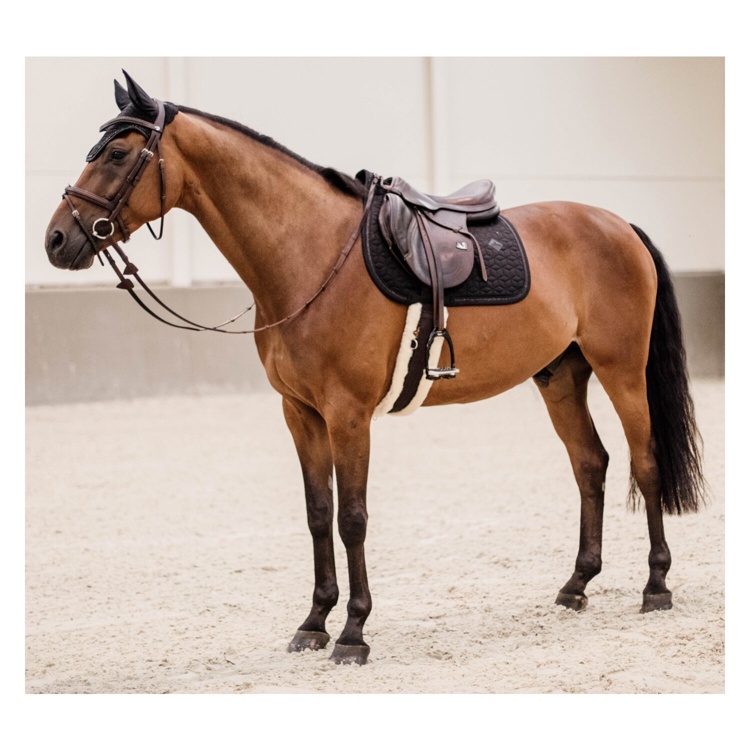 KENTUCKY Schabracke Glitter Rope – Ansicht 3