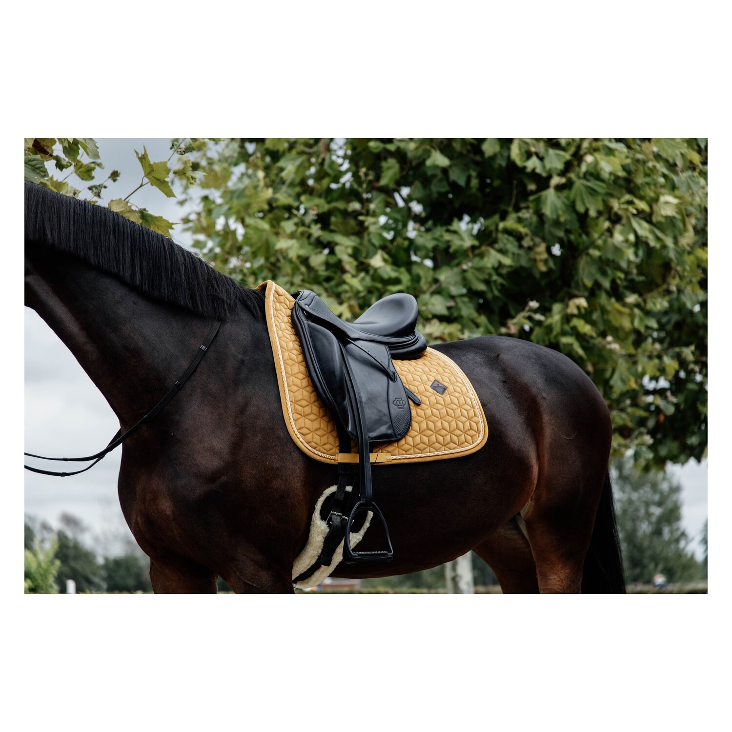 KENTUCKY Schabracke Samt – Ansicht 4