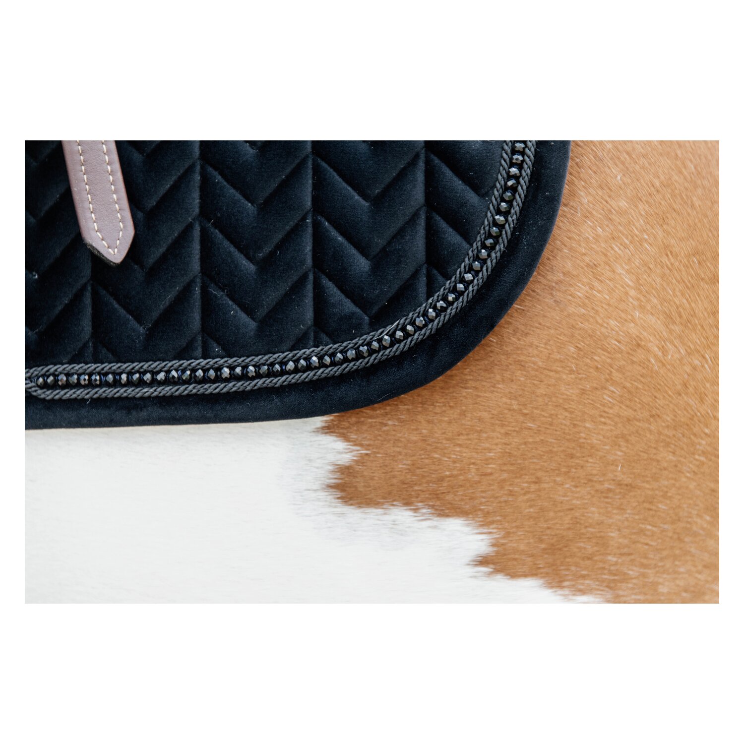 KENTUCKY Schabracke Velvet Pearls – Ansicht 3