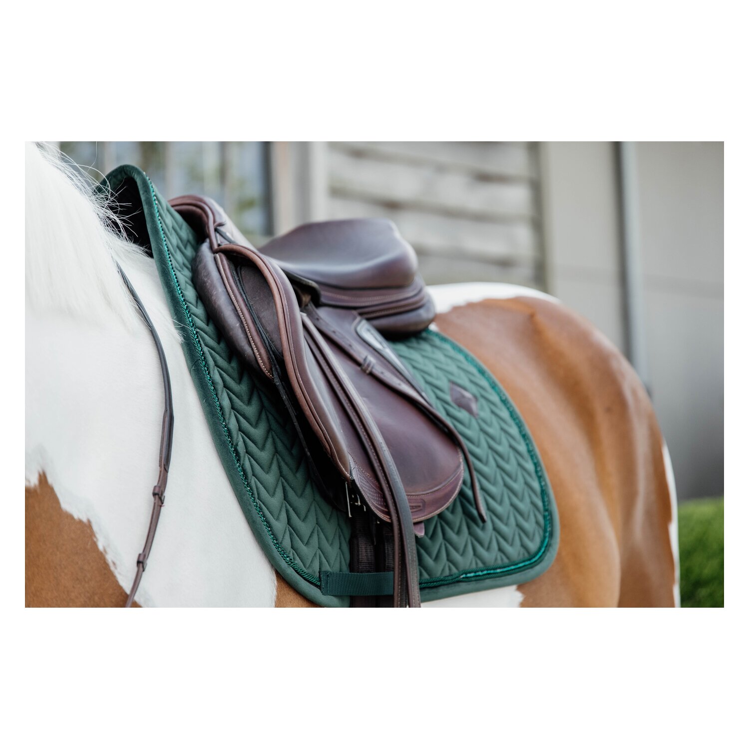KENTUCKY Schabracke Velvet Pearls – Ansicht 6