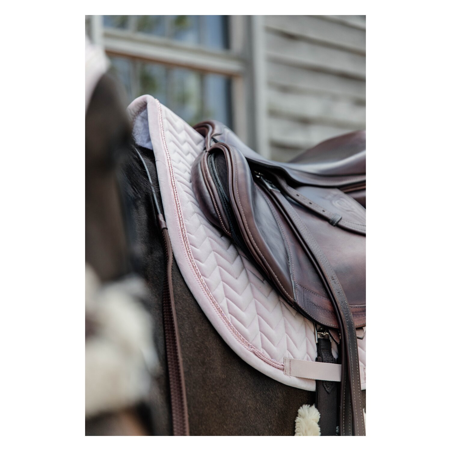 KENTUCKY Schabracke Velvet Pearls – Ansicht 3
