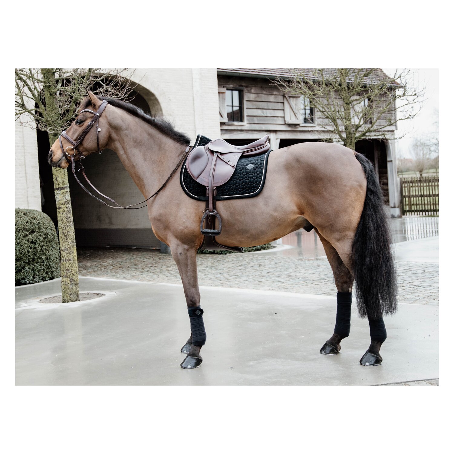 KENTUCKY Schabracke Samt Basic – Ansicht 2