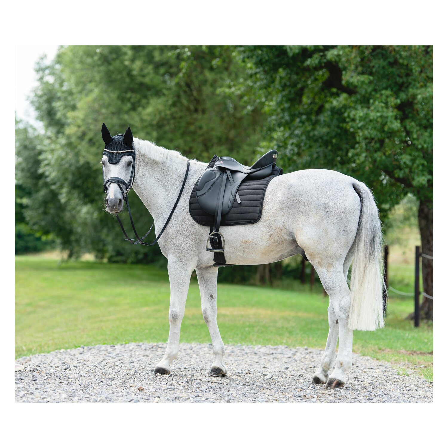 Cheval de Luxe Schabracke Basic Glitter – Ansicht 2