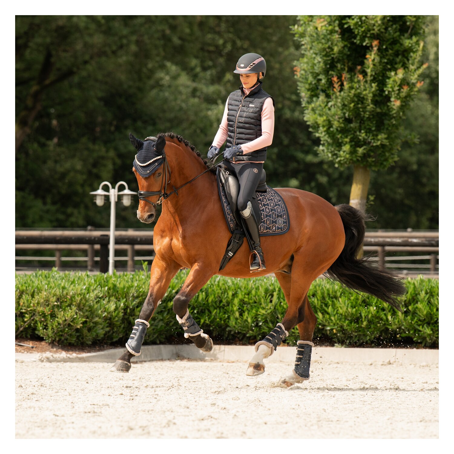 ESKADRON Heritage Schabracke Glossy – Ansicht 4