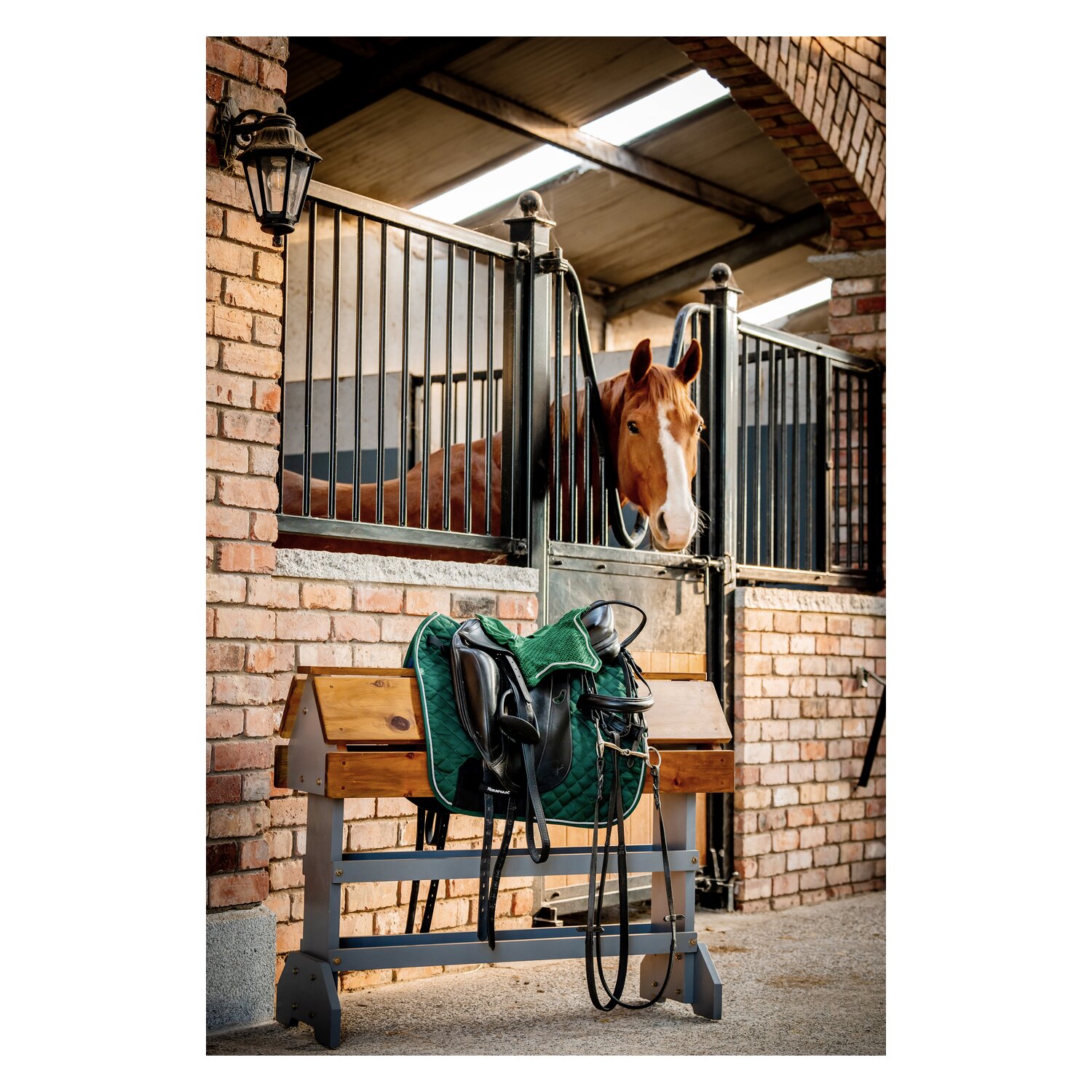 HORSEWARE Signature Schabracke – Ansicht 7