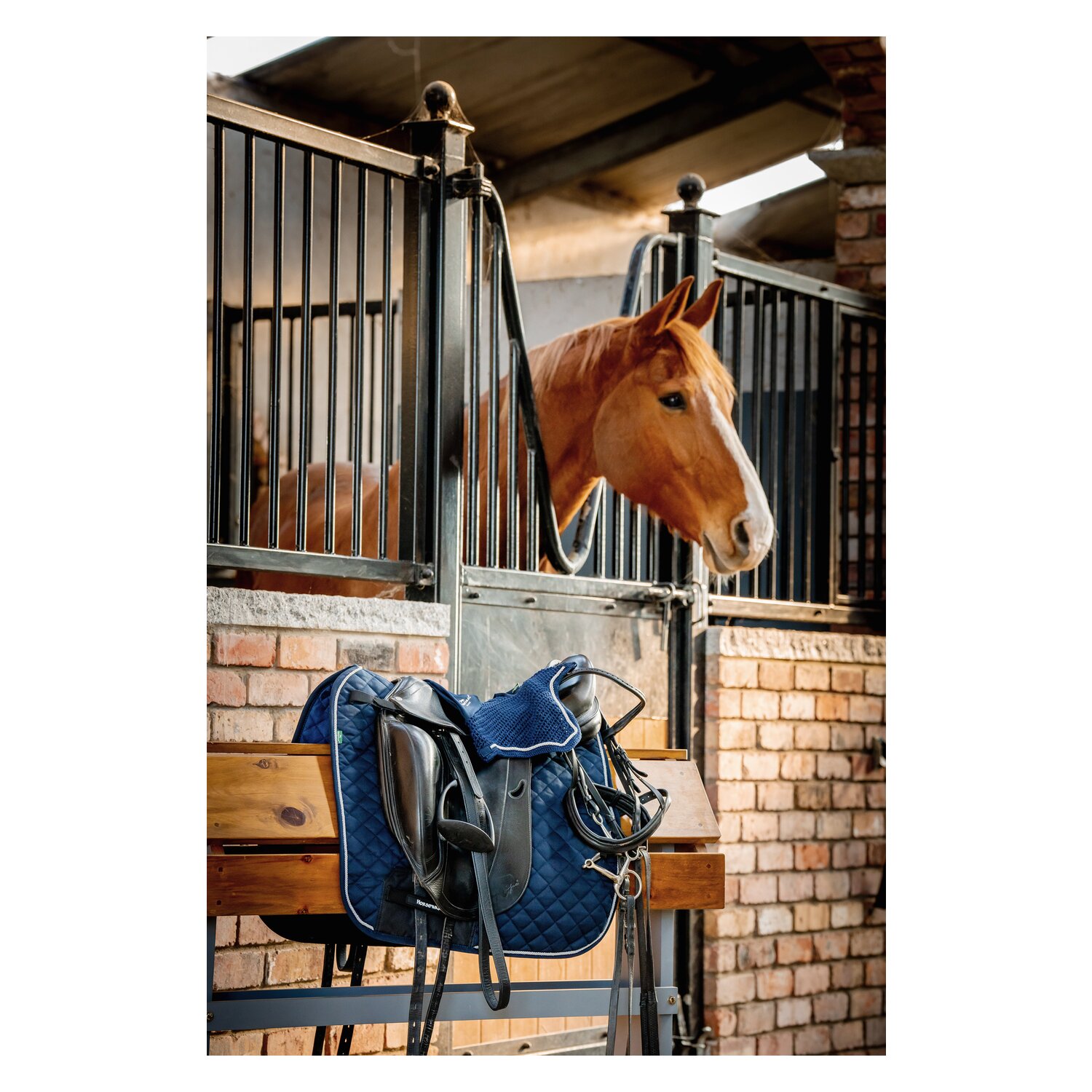 HORSEWARE Signature Schabracke – Ansicht 8